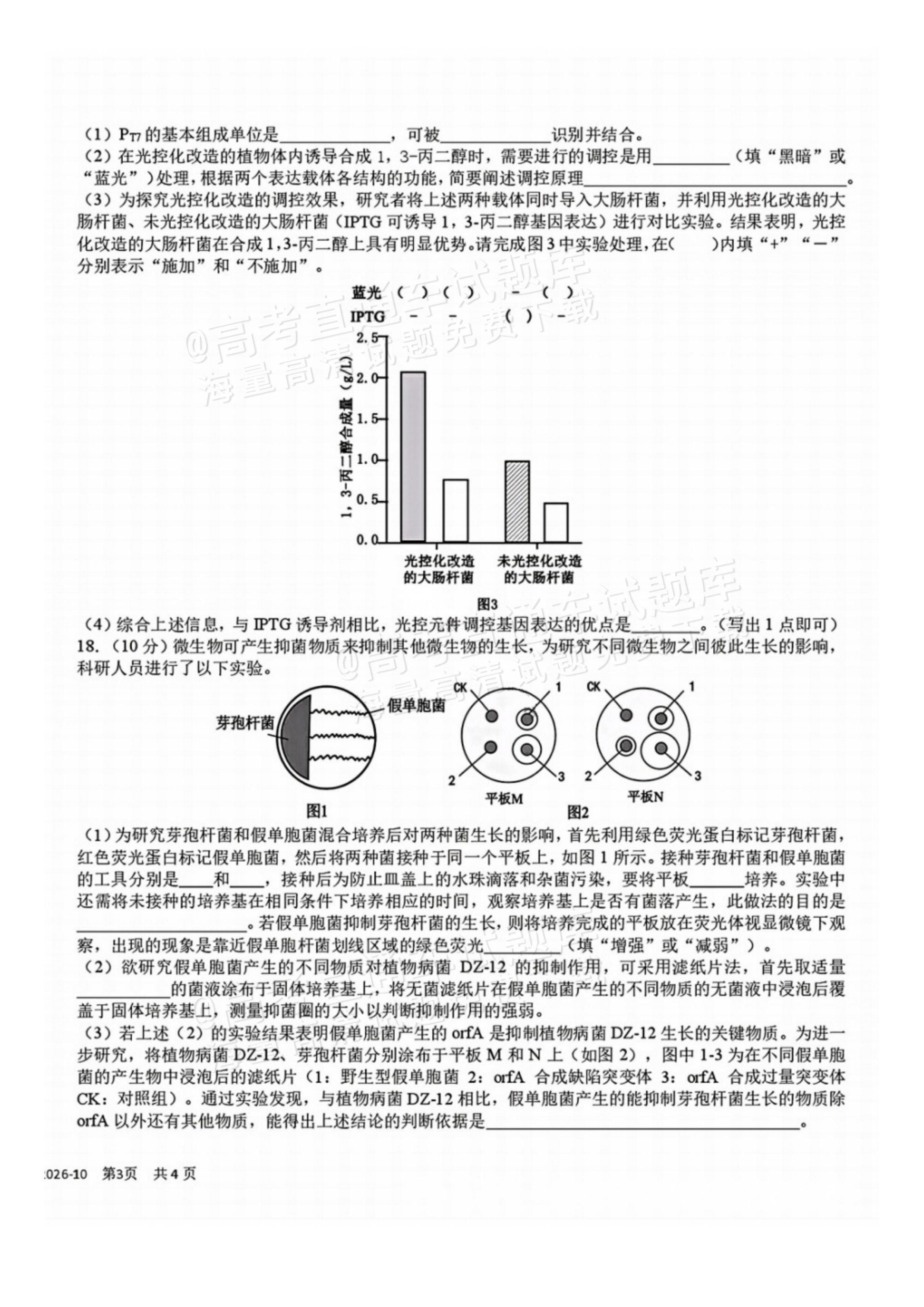 2027四川省成都市树德中学高三10月考生物试题及参考答案 第6页