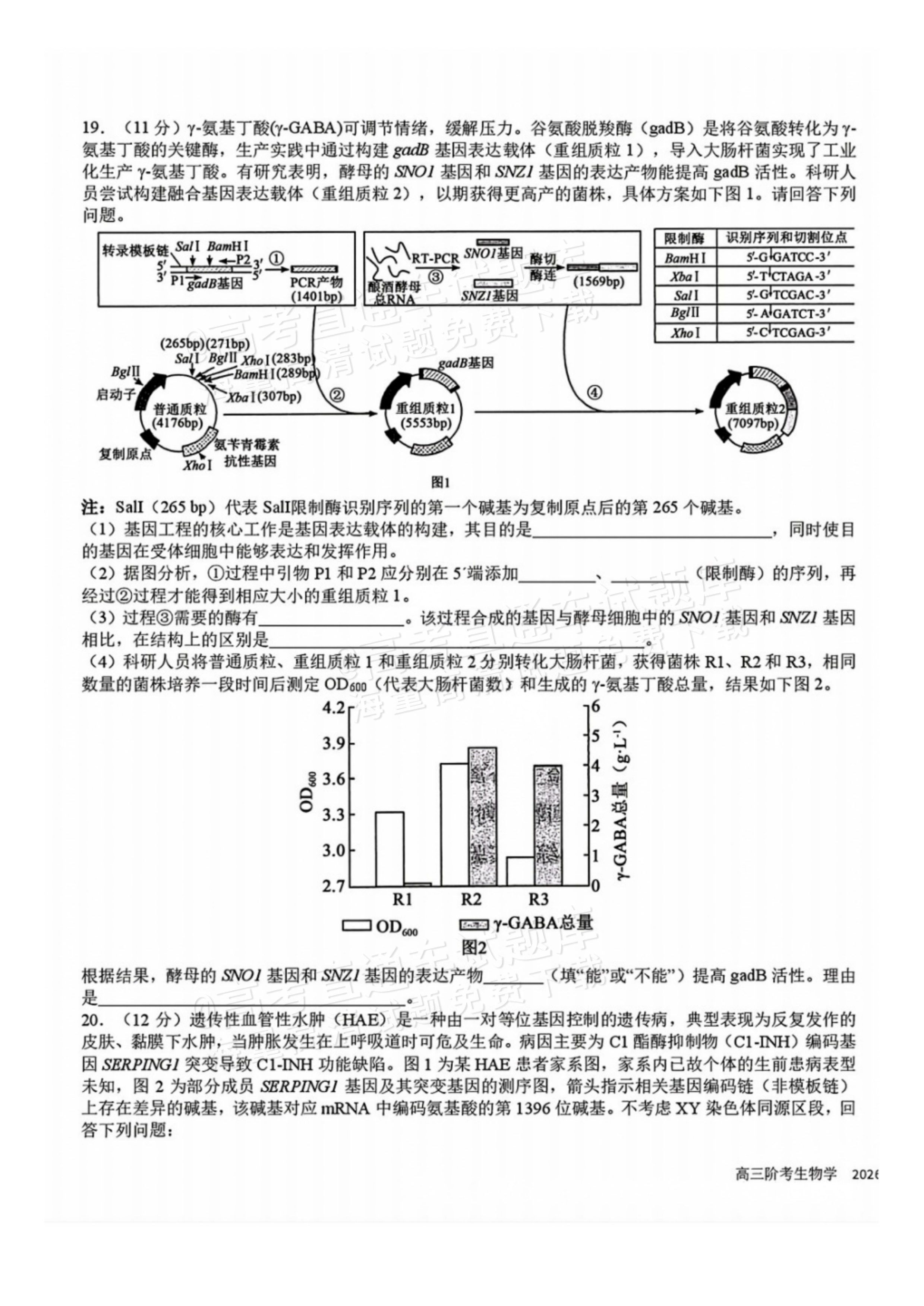 2027四川省成都市树德中学高三10月考生物试题及参考答案 第7页
