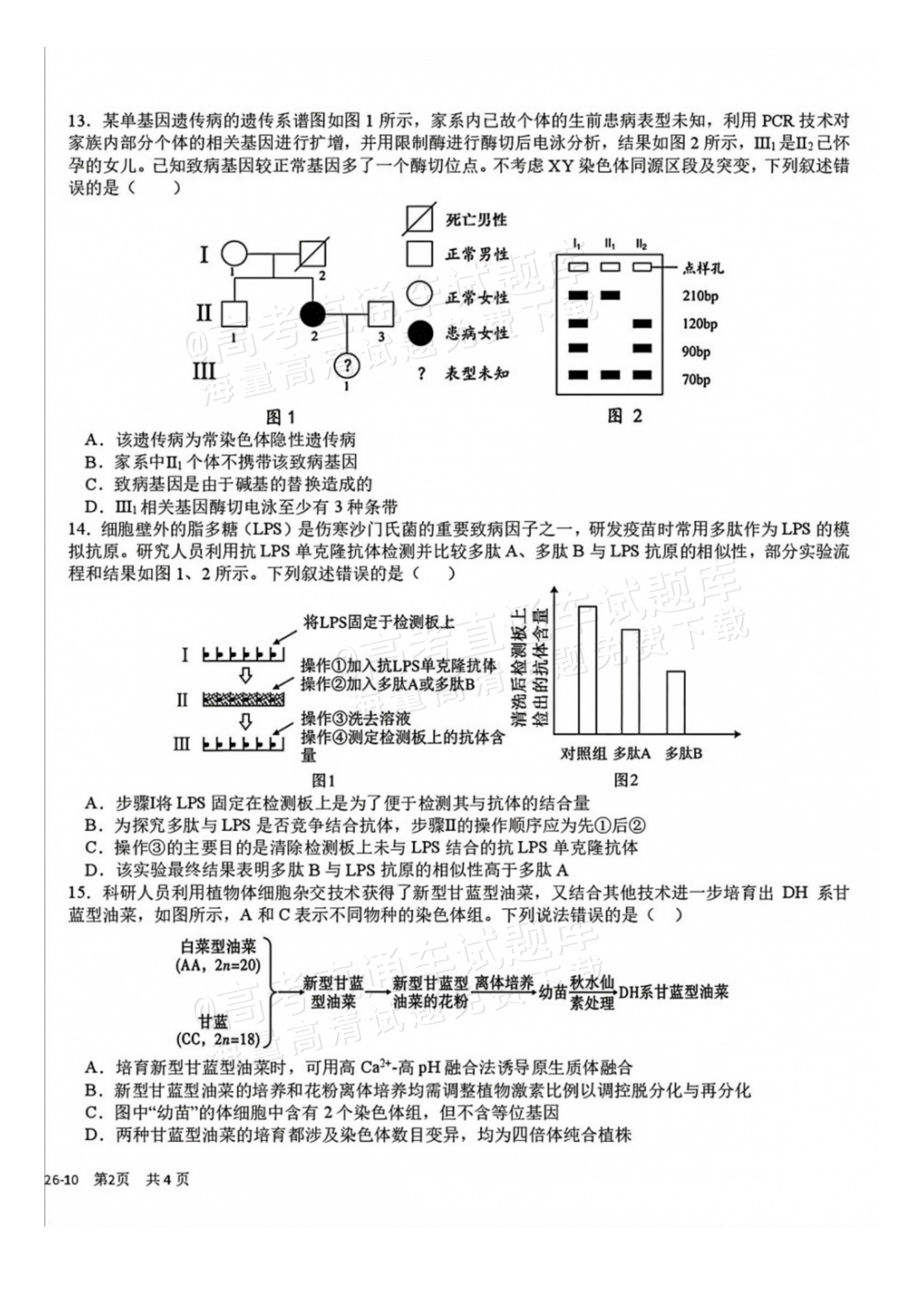 2027四川省成都市树德中学高三10月考生物试题及参考答案 第4页