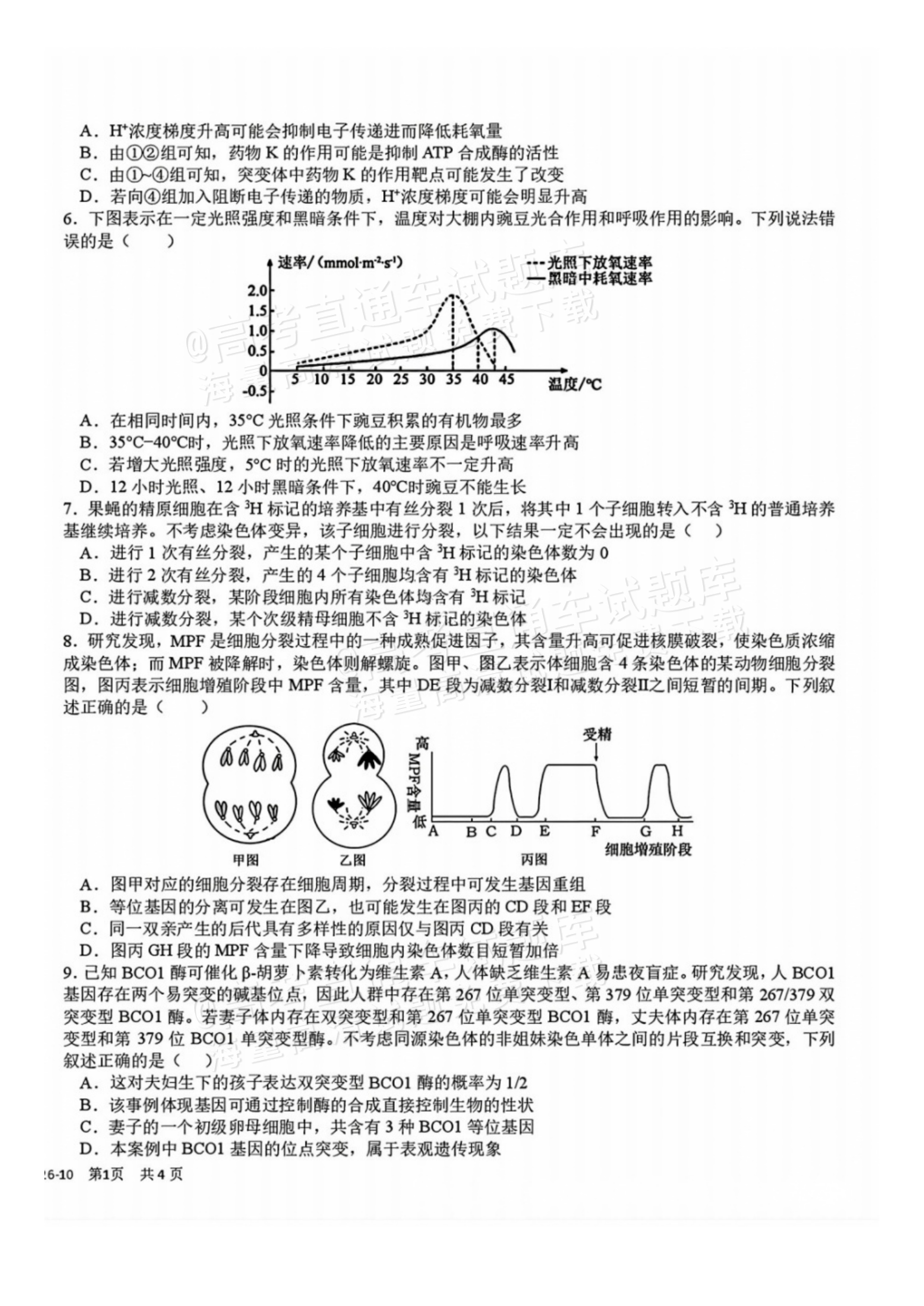 2027四川省成都市树德中学高三10月考生物试题及参考答案 第2页