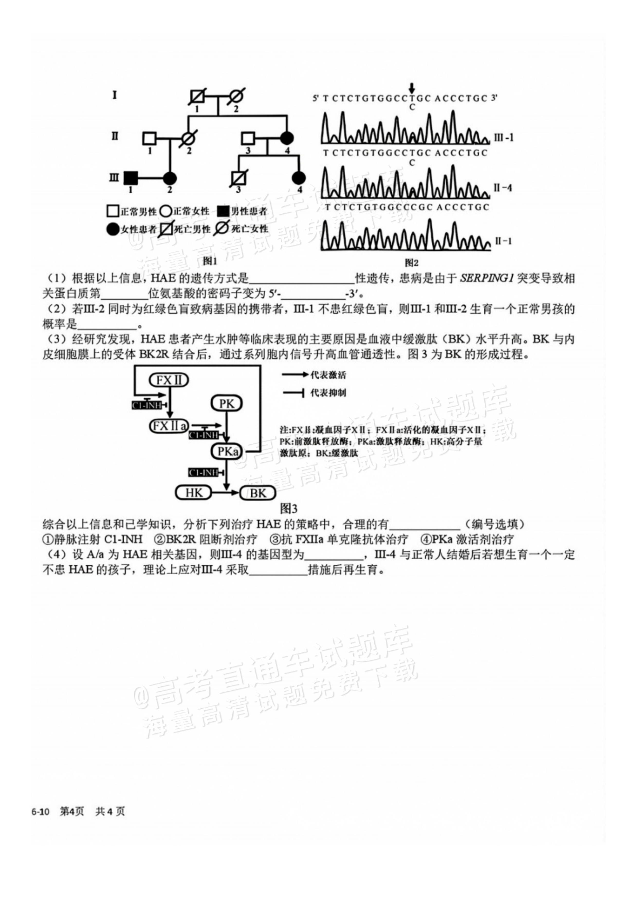 2027四川省成都市树德中学高三10月考生物试题及参考答案 第8页