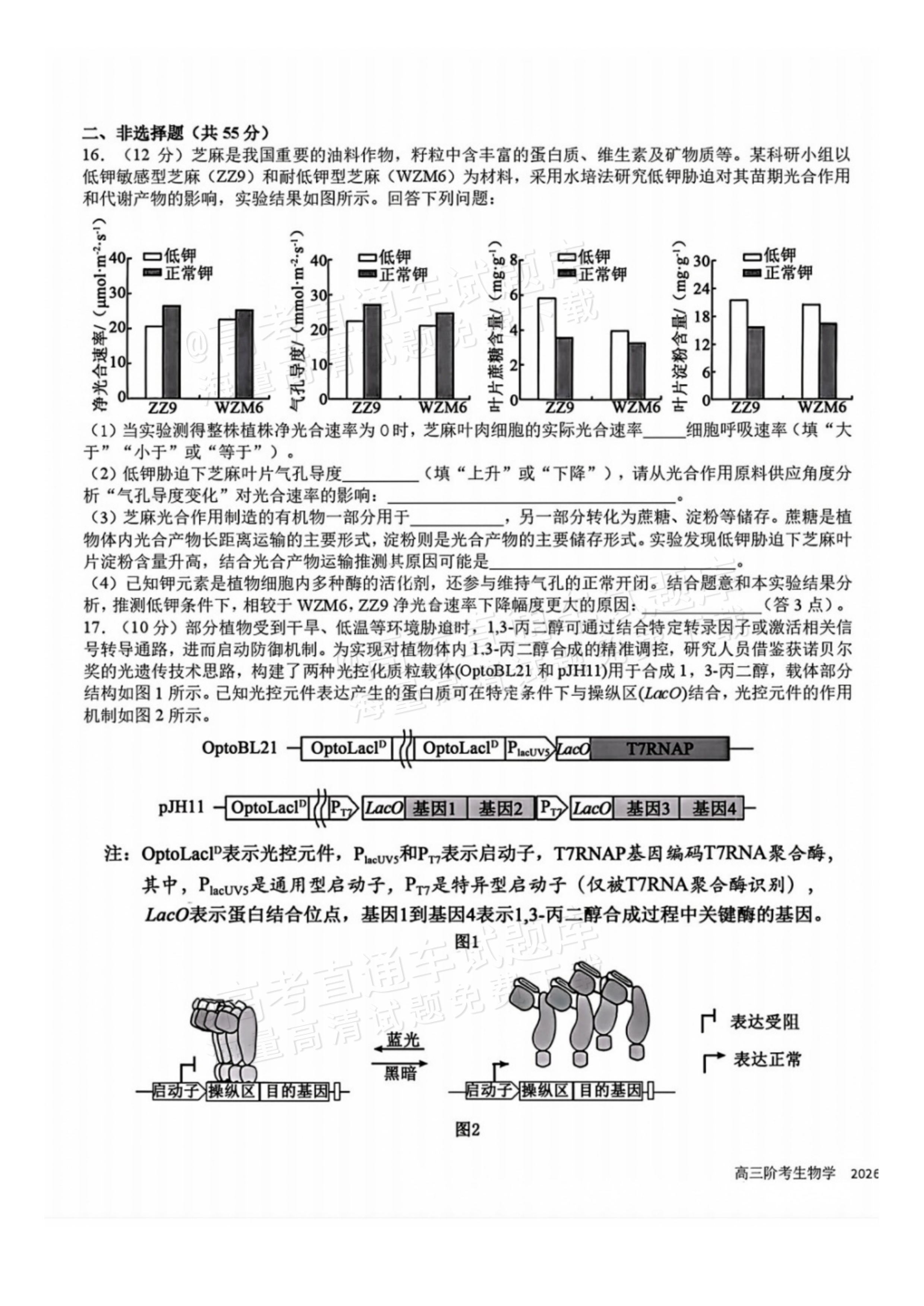 2027四川省成都市树德中学高三10月考生物试题及参考答案 第5页