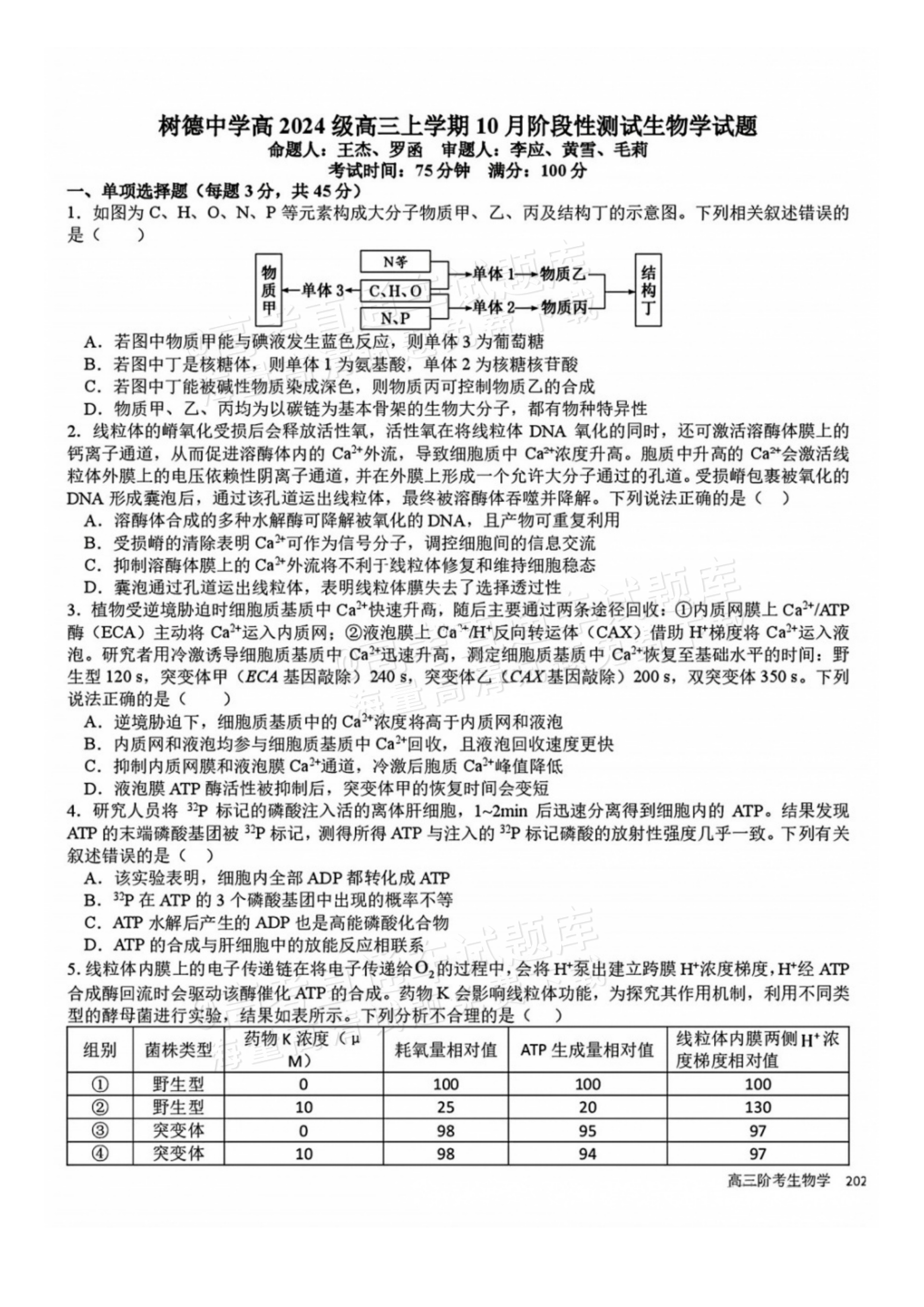 2027四川省成都市树德中学高三10月考生物试题及参考答案 第1页