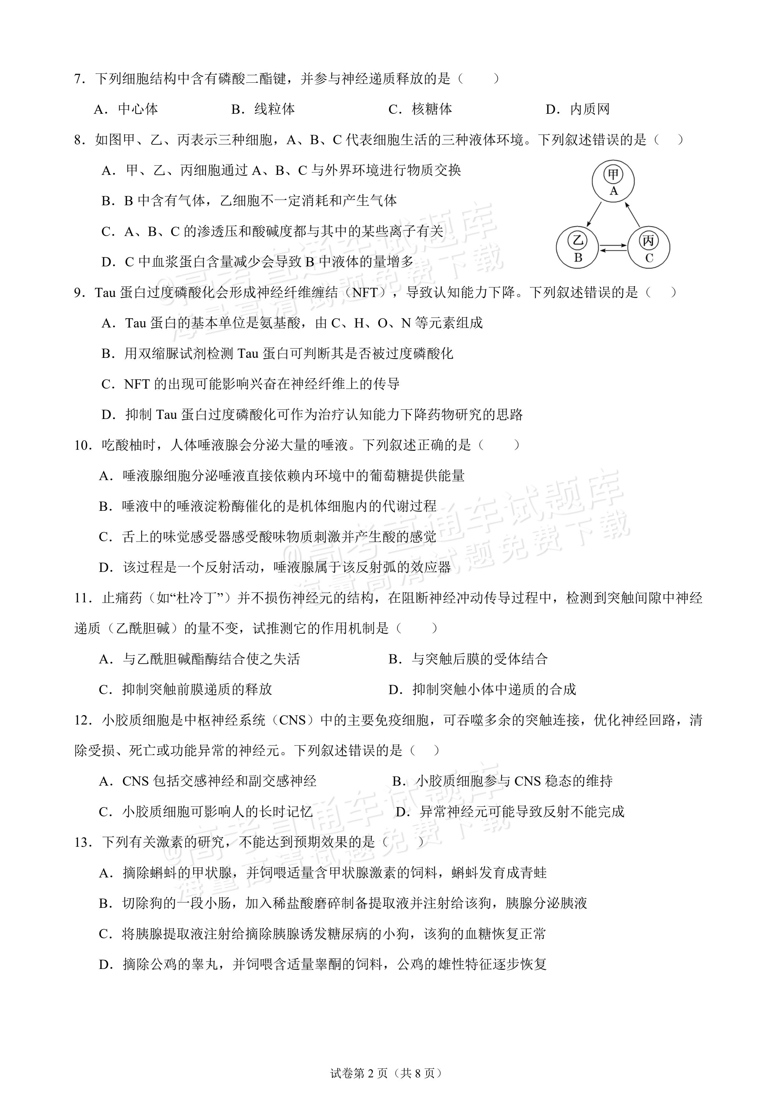 2027广东汕头市金山中学高二10月月考生物试题及参考答案 第2页