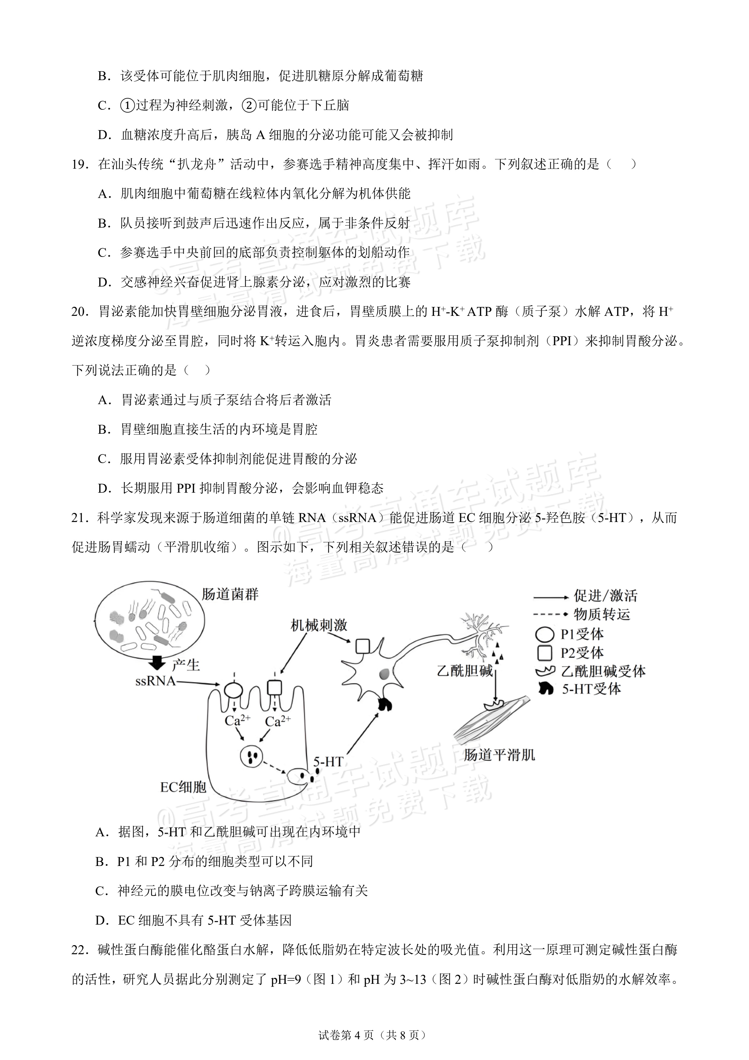 2027广东汕头市金山中学高二10月月考生物试题及参考答案 第4页