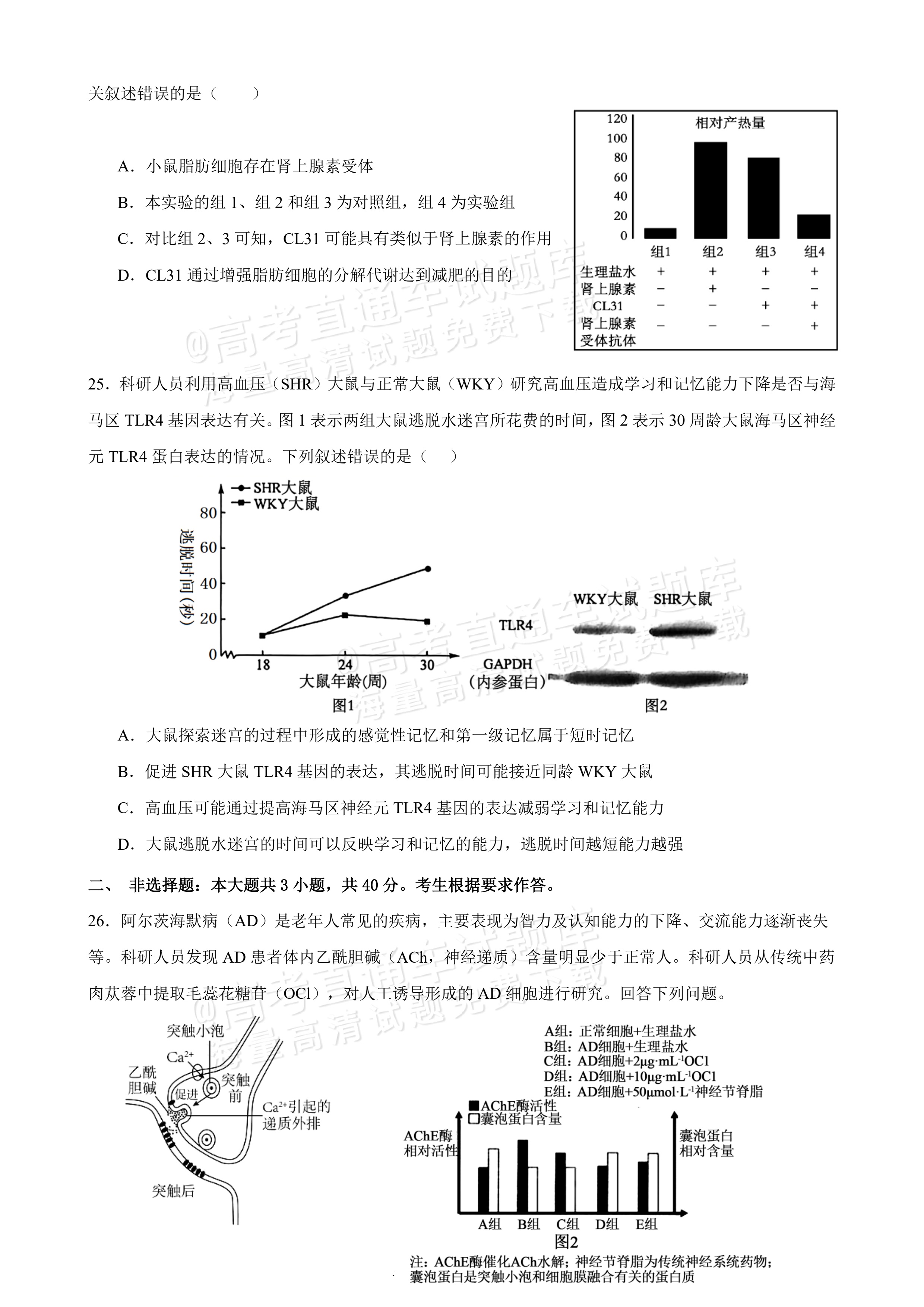 2027广东汕头市金山中学高二10月月考生物试题及参考答案 第6页