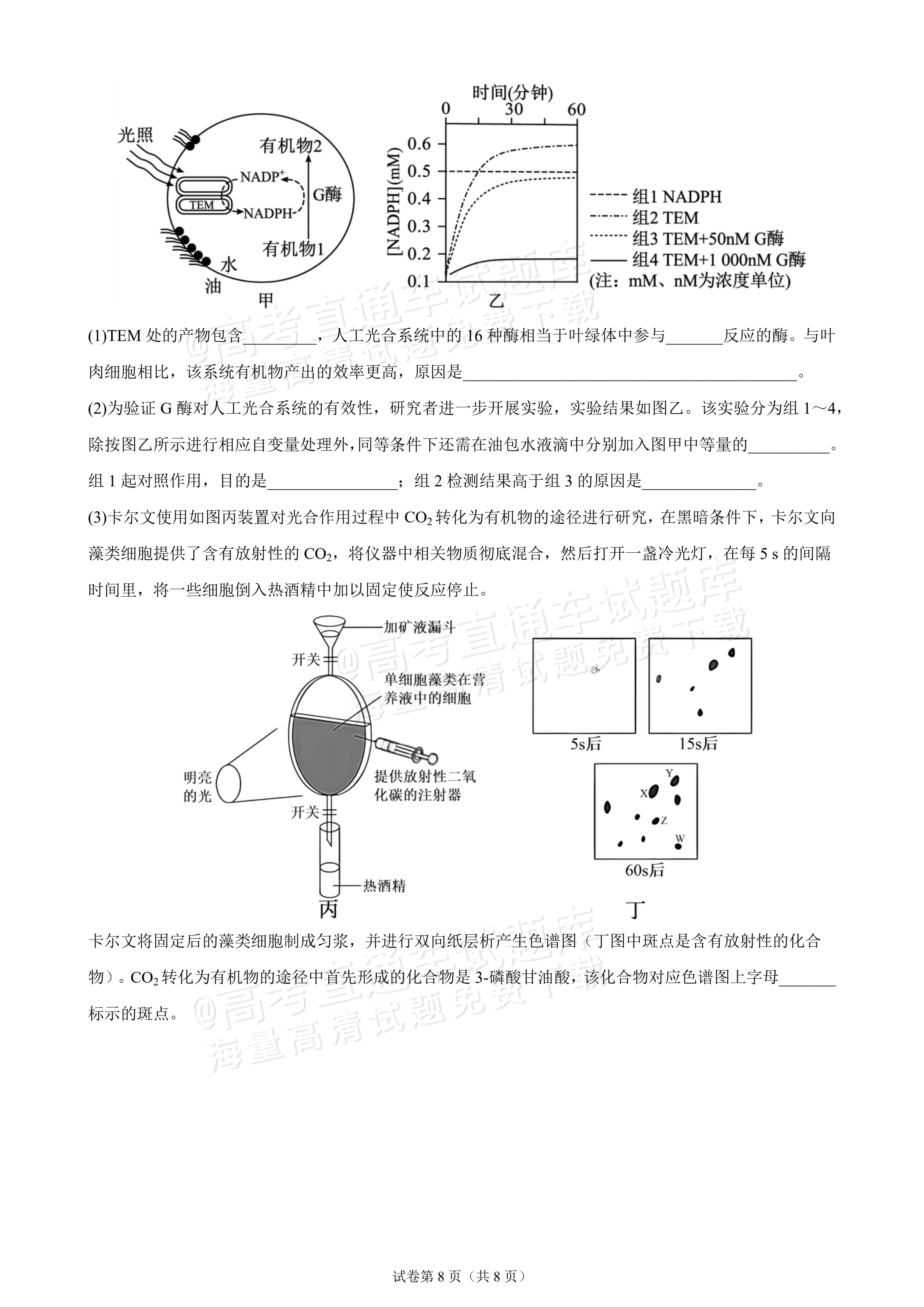 2027广东汕头市金山中学高二10月月考生物试题及参考答案 第8页