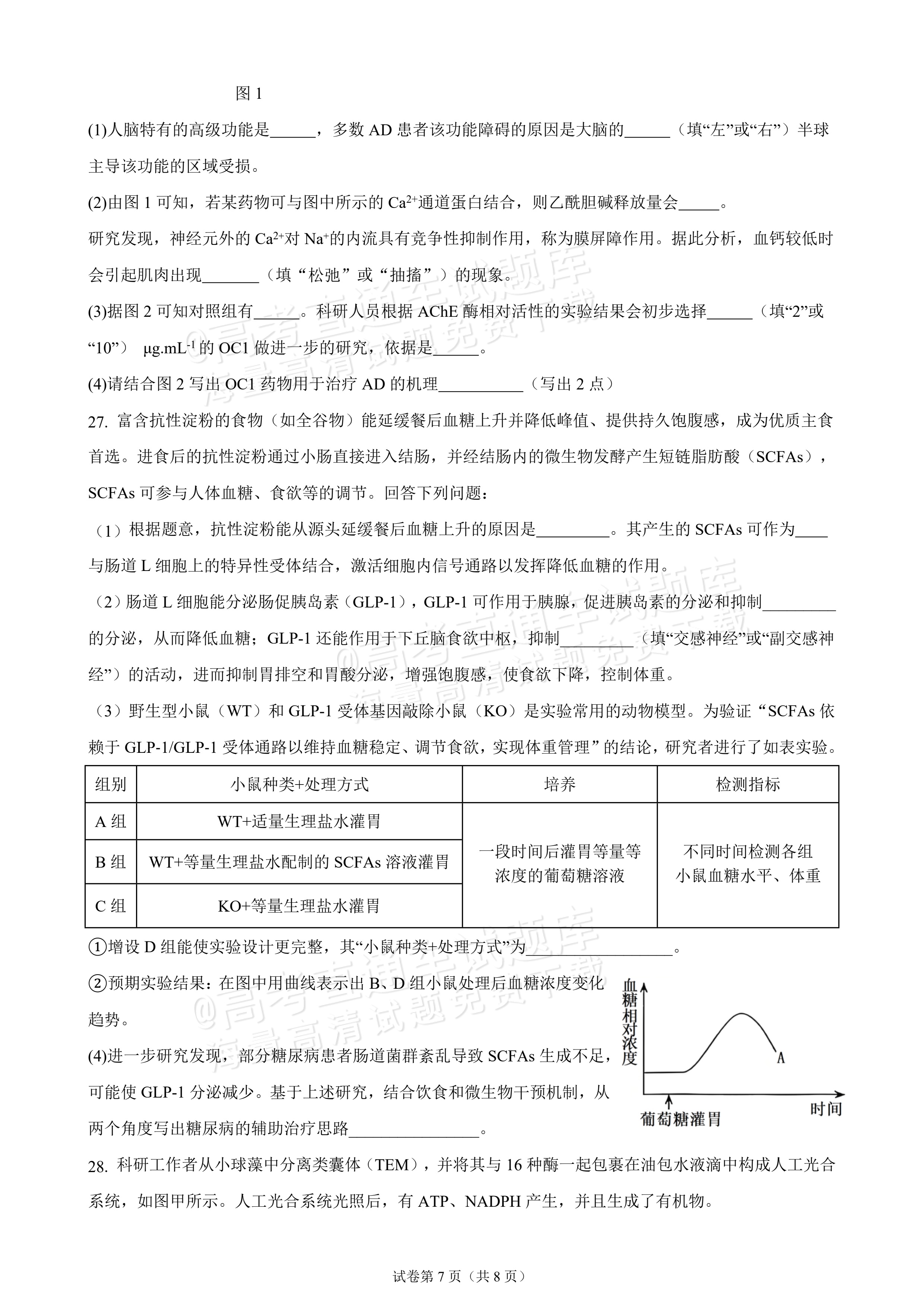 2027广东汕头市金山中学高二10月月考生物试题及参考答案 第7页