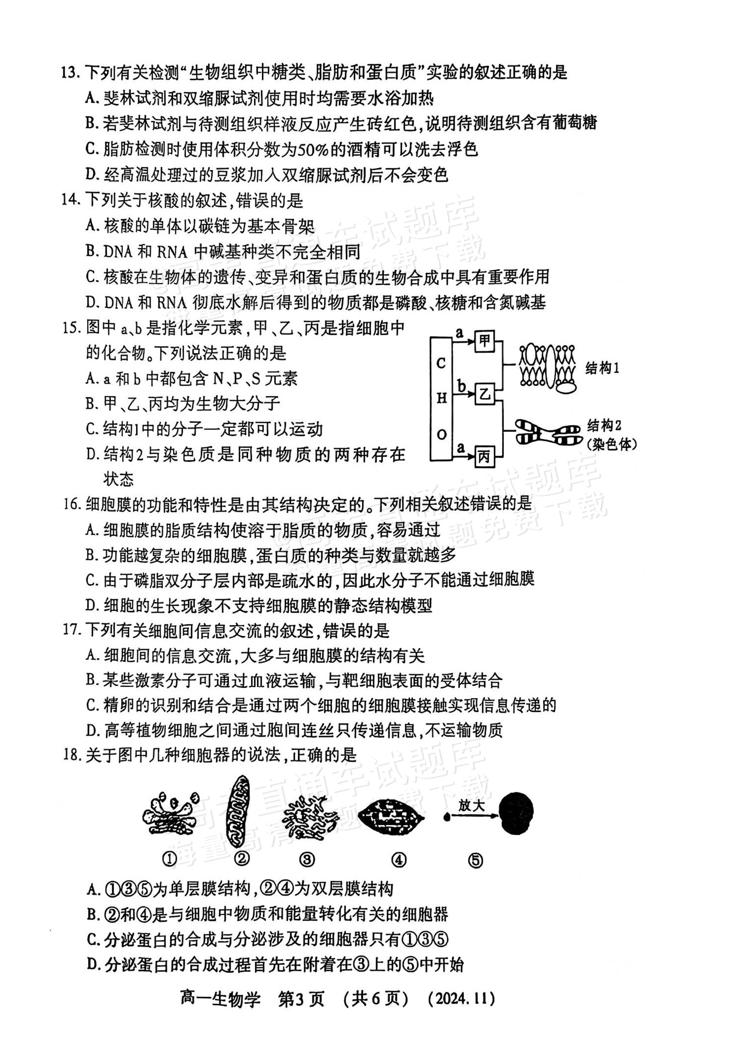 2025河南洛阳高一期中考生物试题及参考答案 第3页