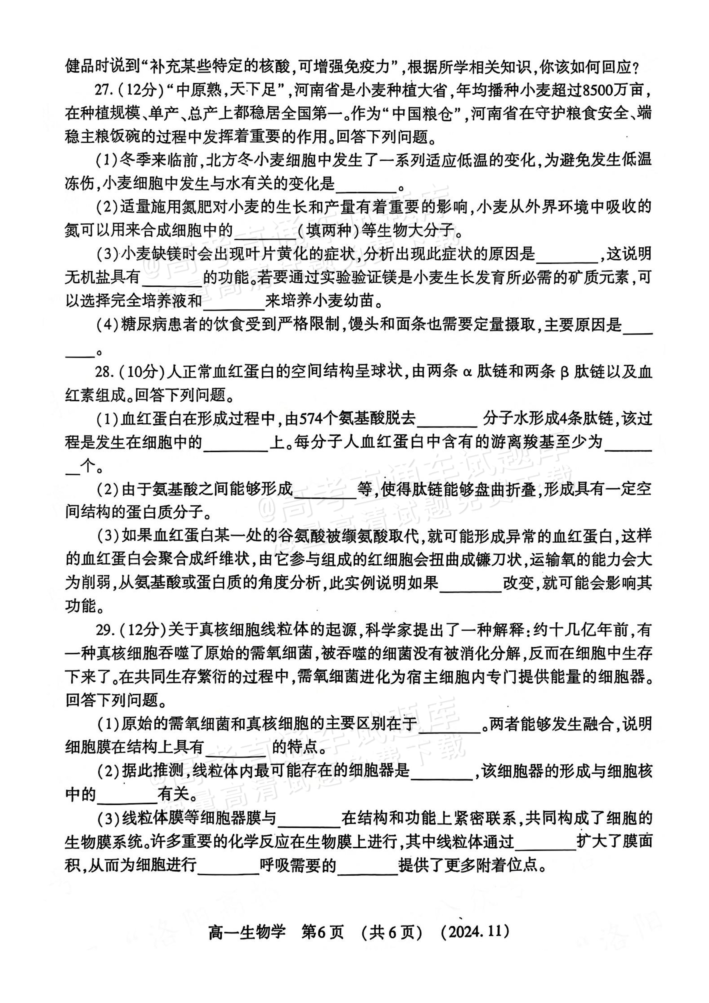 2025河南洛阳高一期中考生物试题及参考答案 第6页