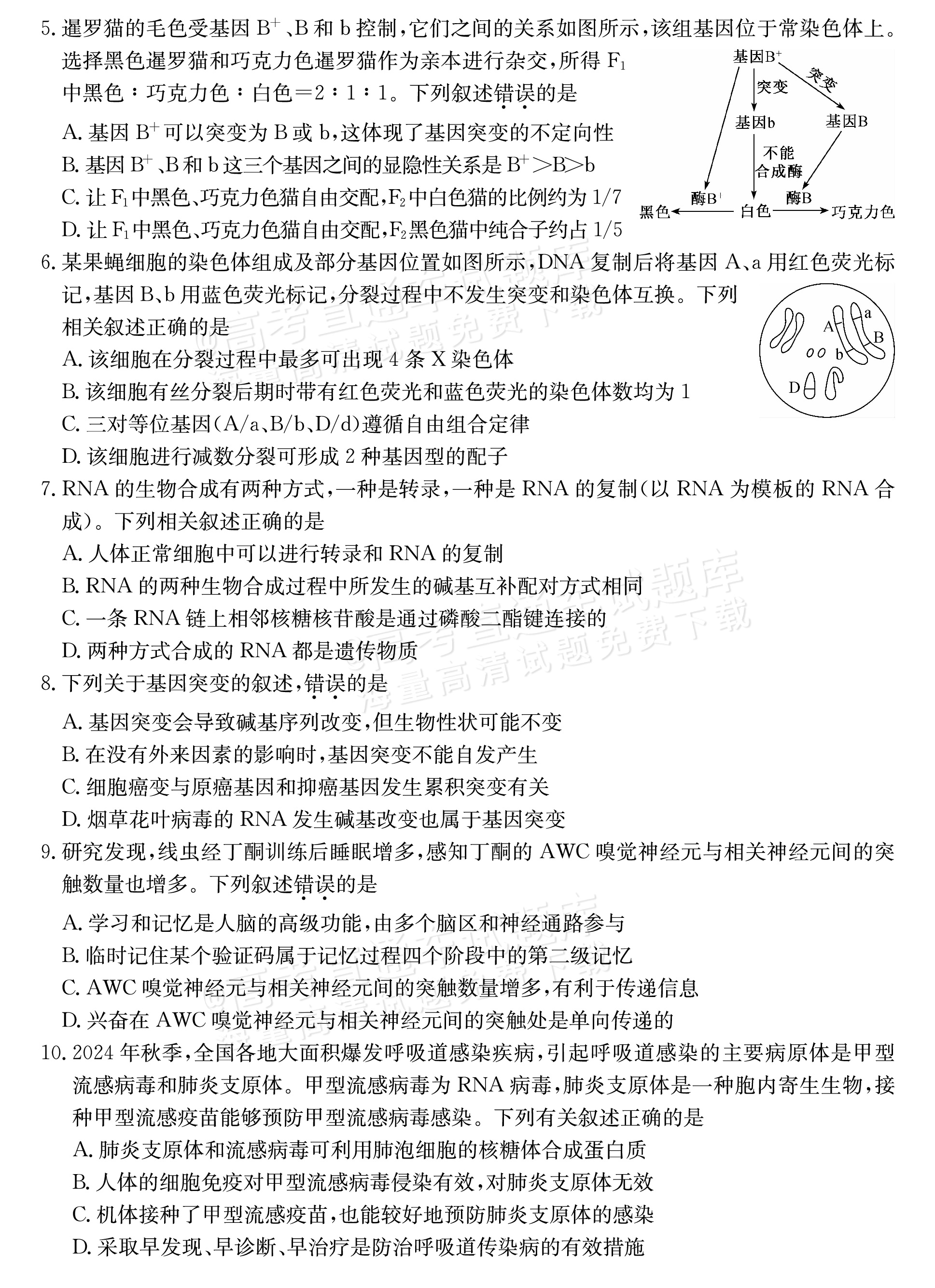 2025山西三晋名校联盟全省高三期末质量检测（25-L-510C）生物试题及参考答案 第2页