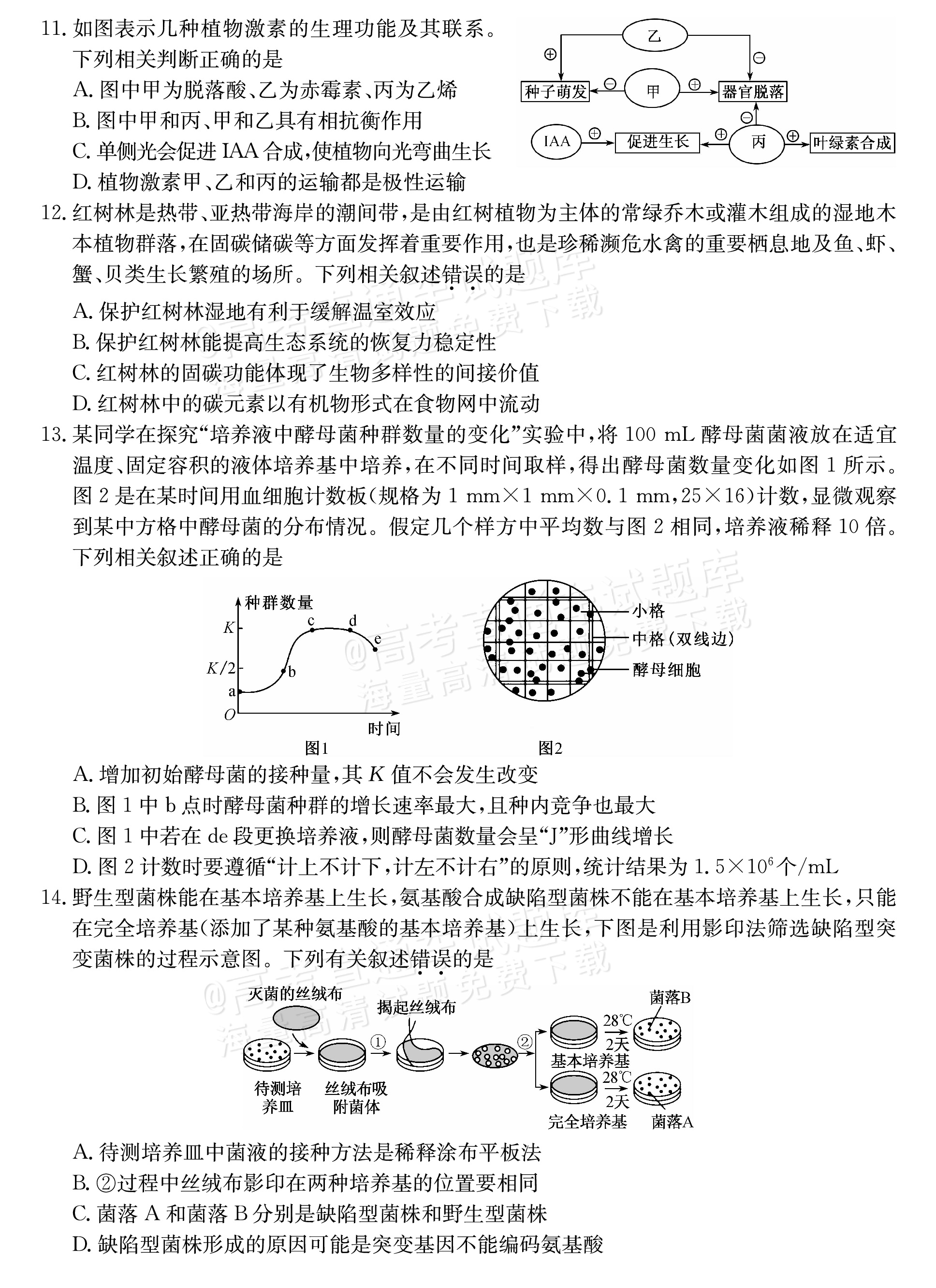 2025山西三晋名校联盟全省高三期末质量检测（25-L-510C）生物试题及参考答案 第3页