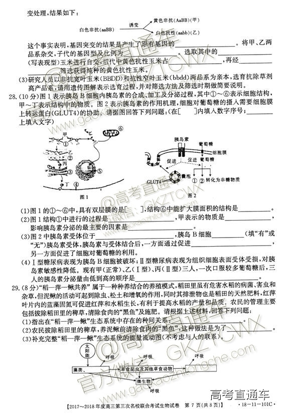 2018山西第三次名校联考生物试题及参考答案 第7页
