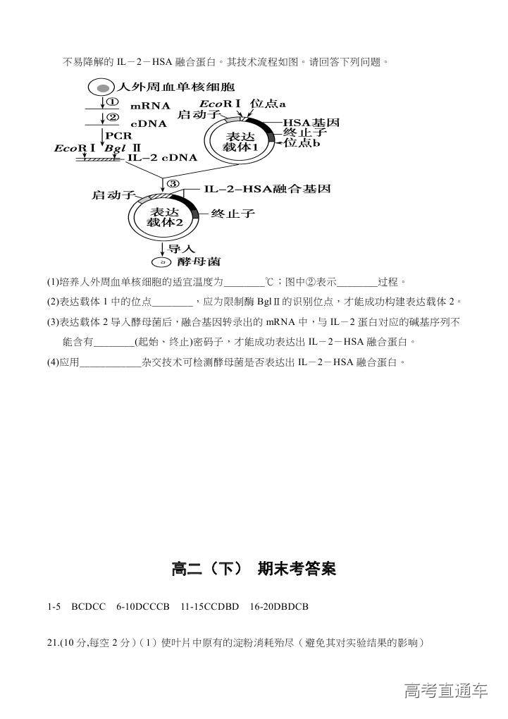 2018汕头金山中学高二期末考试各科试题及参考答案 第55页