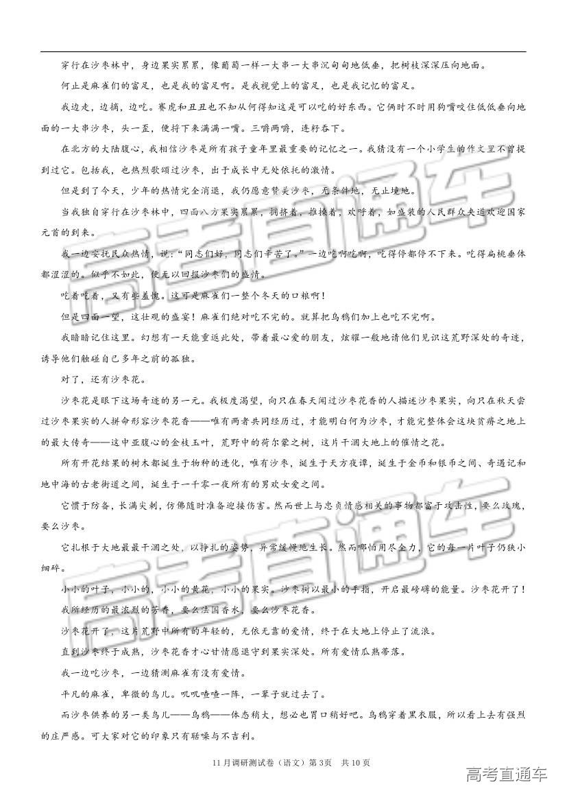 2019重庆市普通高等学校招生全国统一考试11月调研测试语文试题及参考答案 第3页