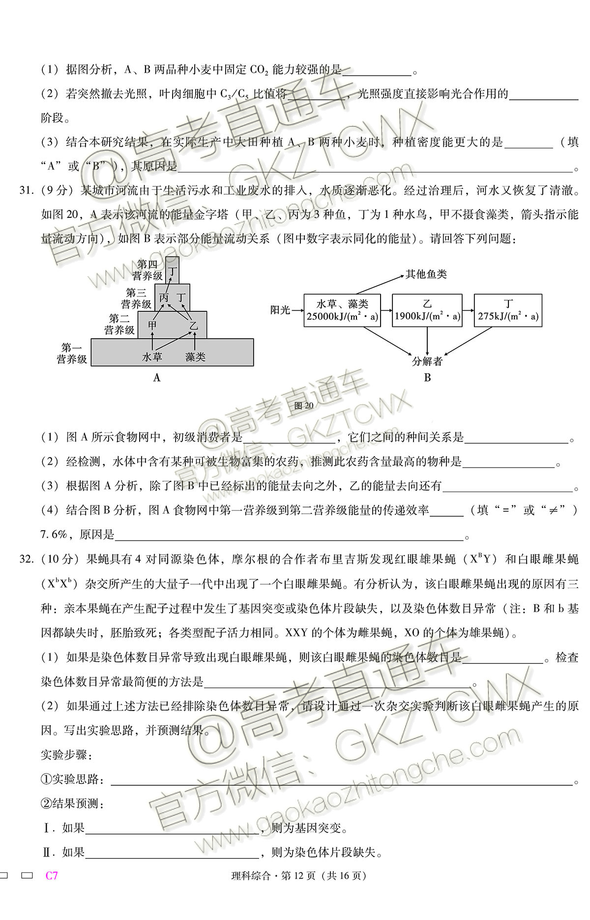2019重庆八中高三高考全真模拟考试理综试题及参考答案 第12页