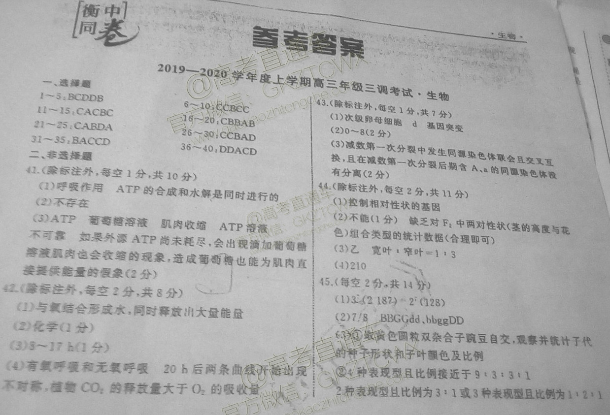 191106132655_exam_370.jpg!auto_orient.jpg