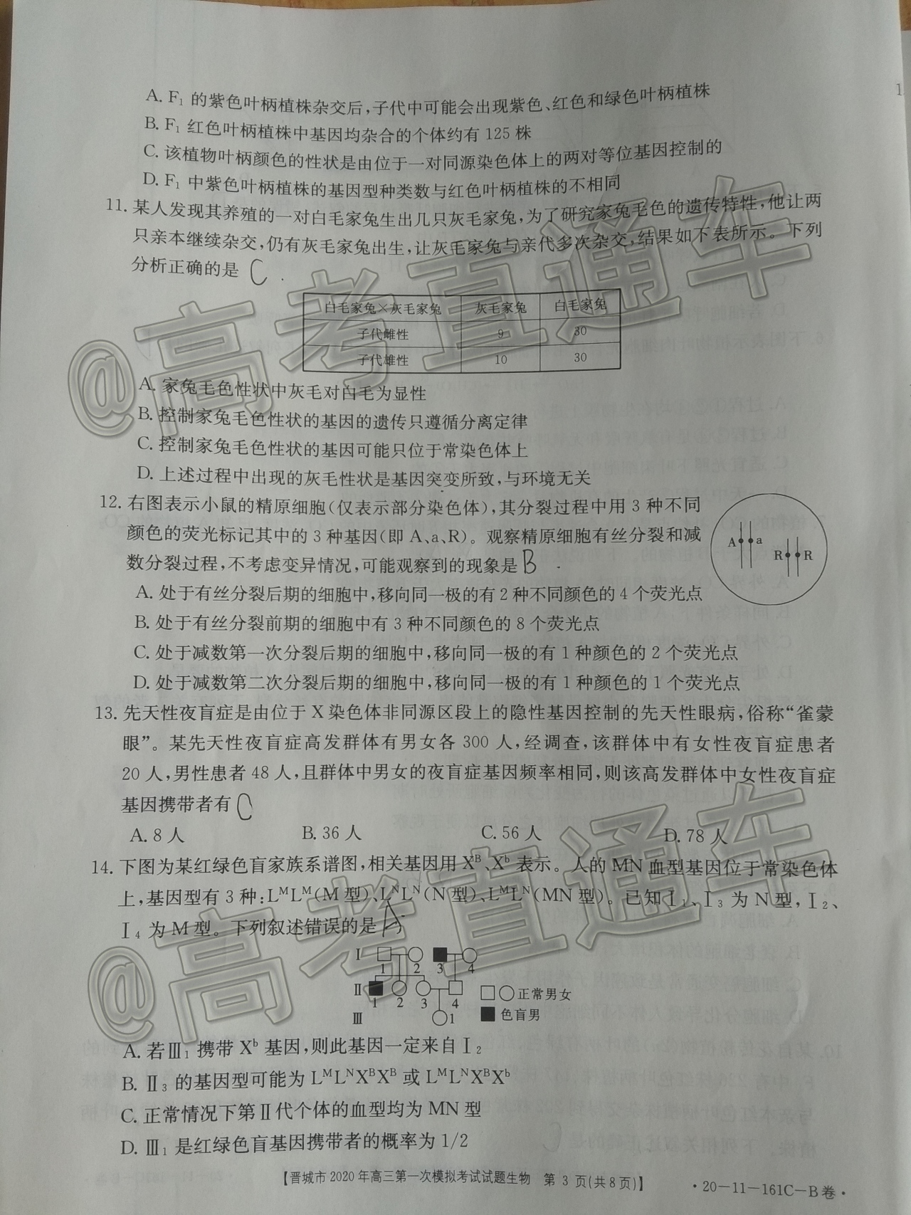 2020晋城一模（20-11-160C/161C）生物试题及参考答案 第7页