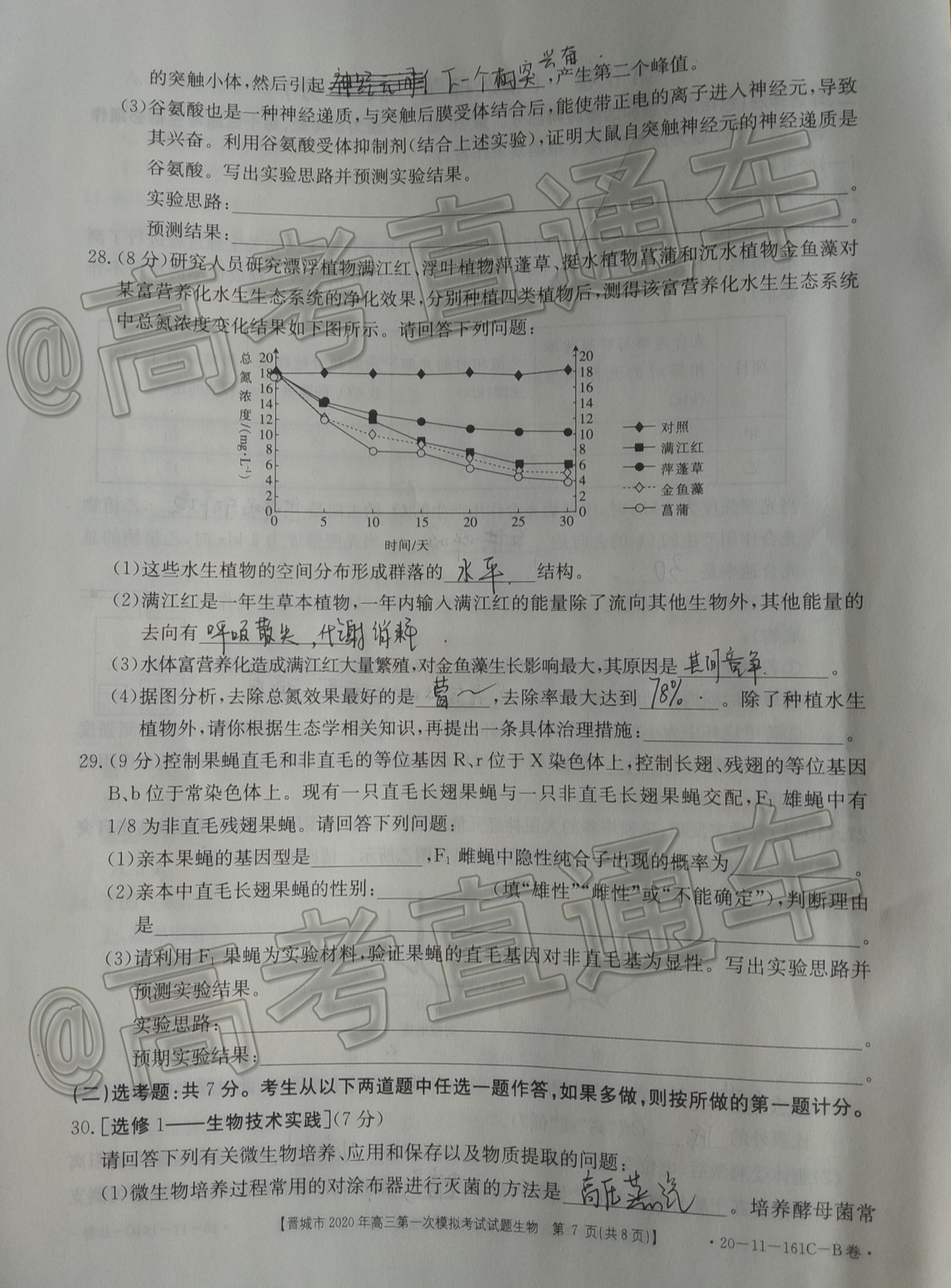 2020晋城一模（20-11-160C/161C）生物试题及参考答案 第11页