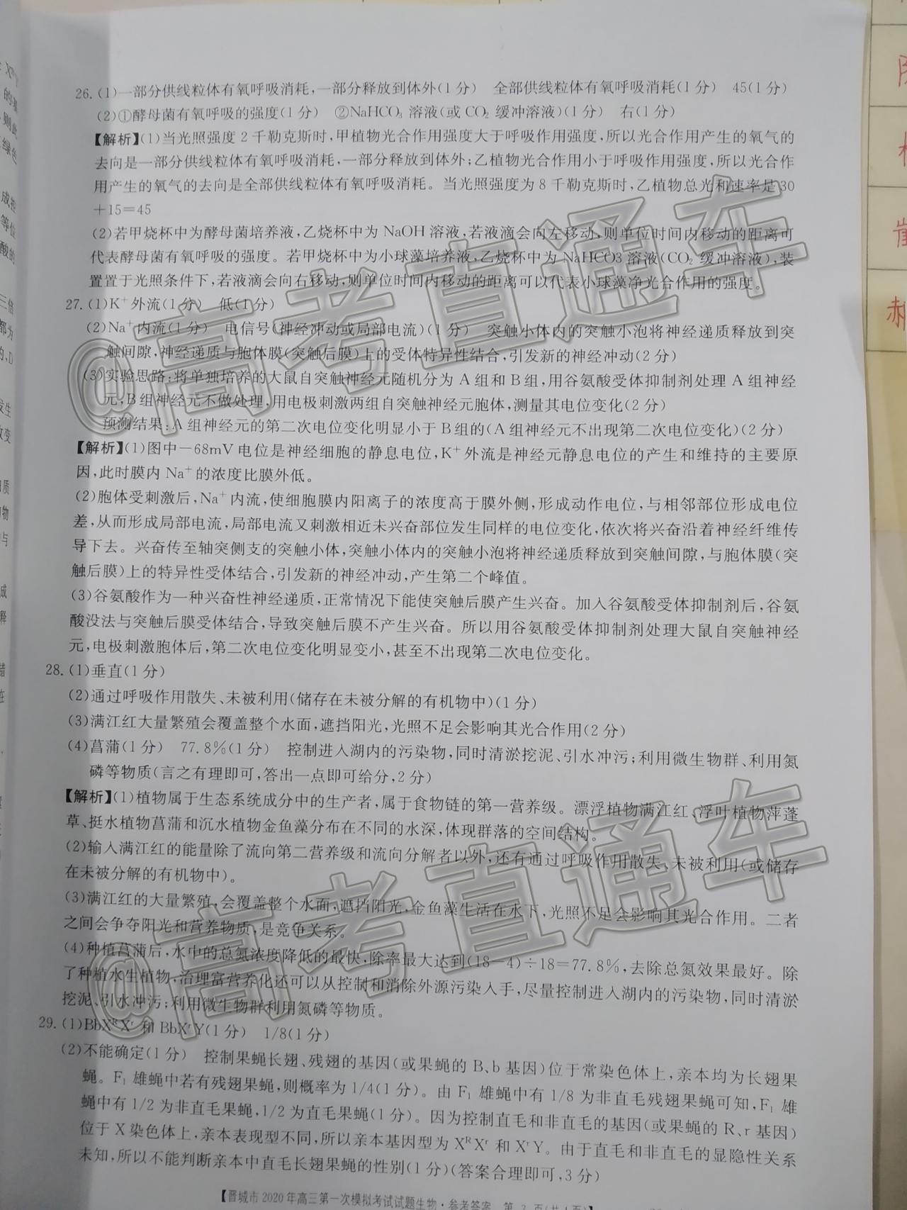 2020晋城一模（20-11-160C/161C）生物试题及参考答案 第15页
