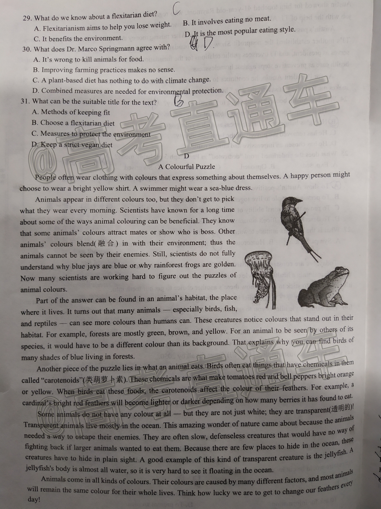 2020内蒙古非凡吉创·百校联盟1月调研考试英语试题及参考答案 第5页