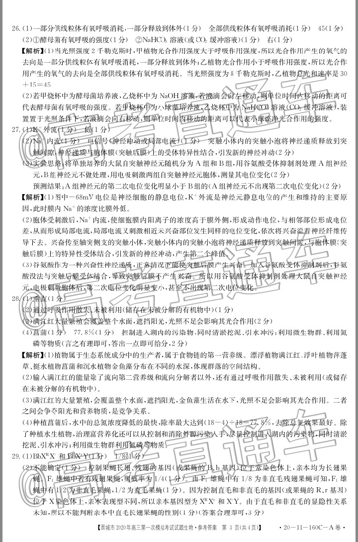 2020晋城一模（20-11-160C/161C）生物试题及参考答案 第3页