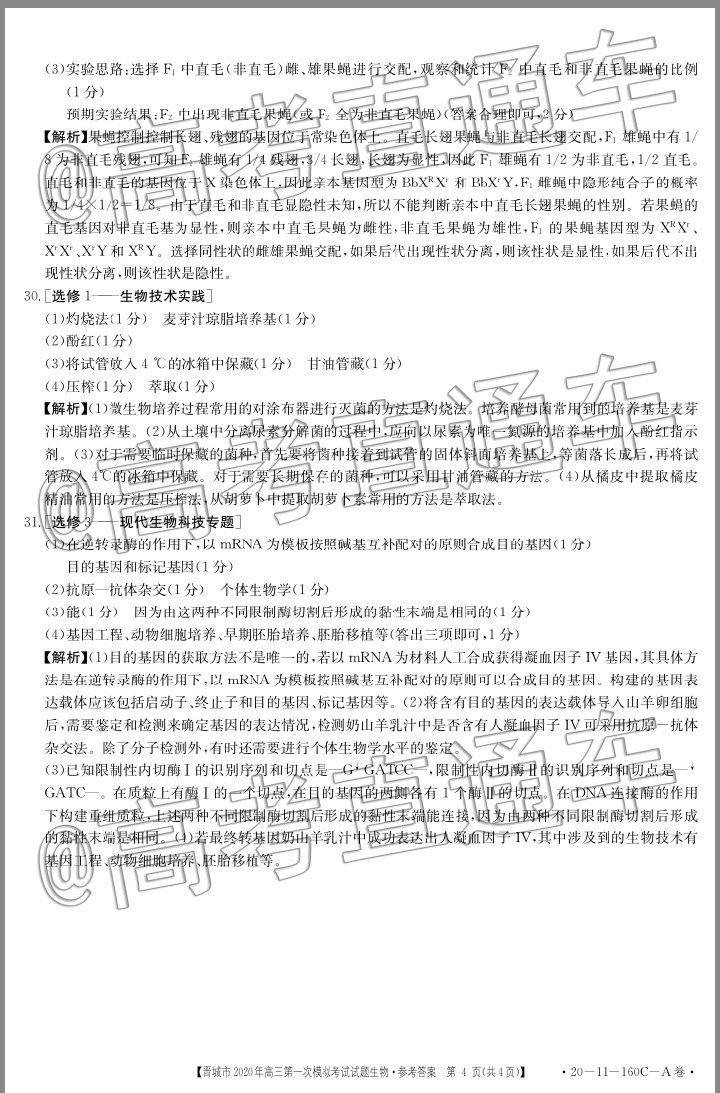 2020晋城一模（20-11-160C/161C）生物试题及参考答案 第4页
