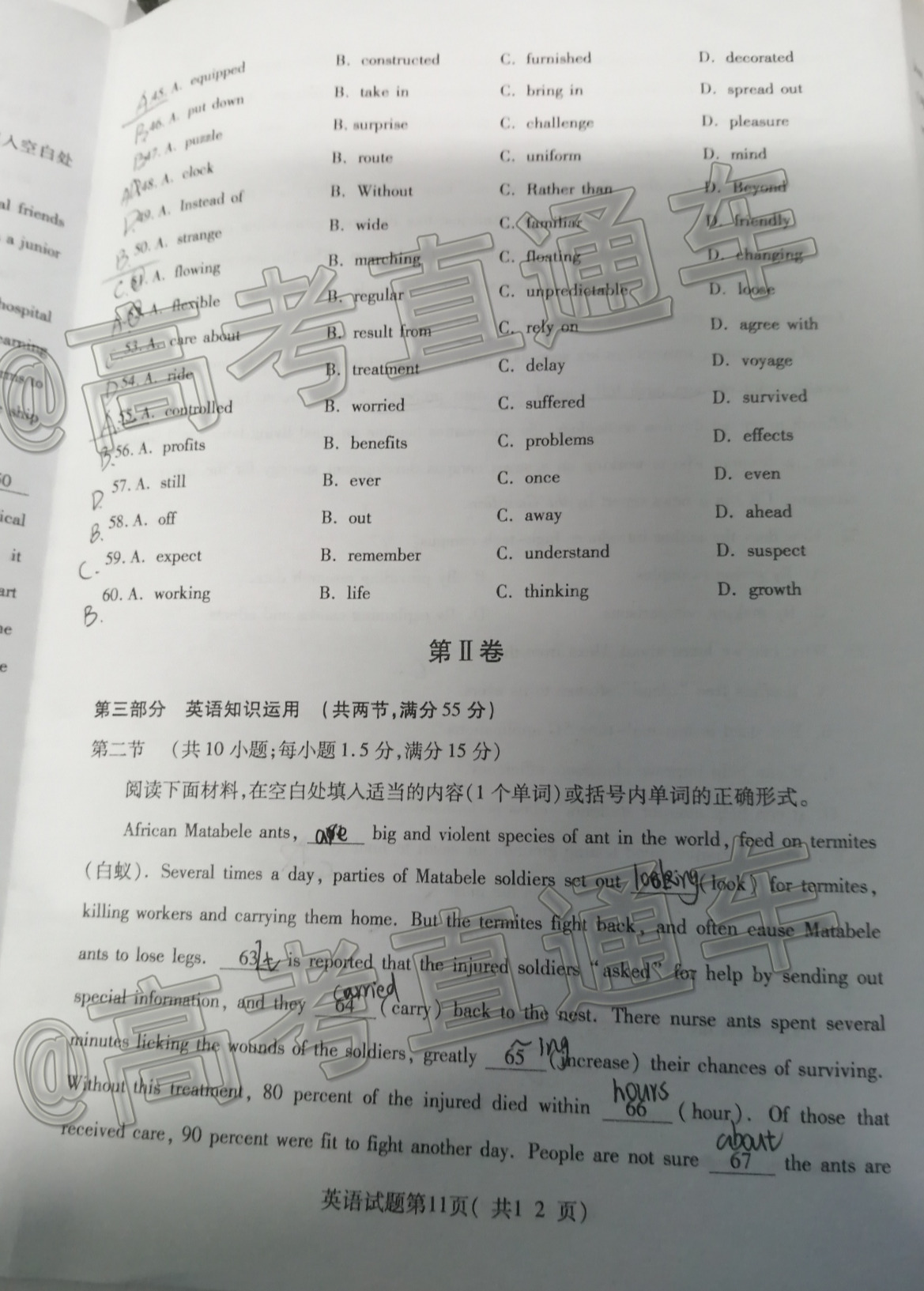 scrawl.png