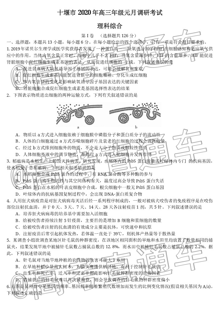 scrawl.png