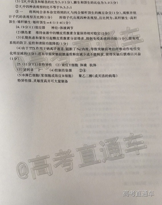 mmexport1587207796544847.jpg