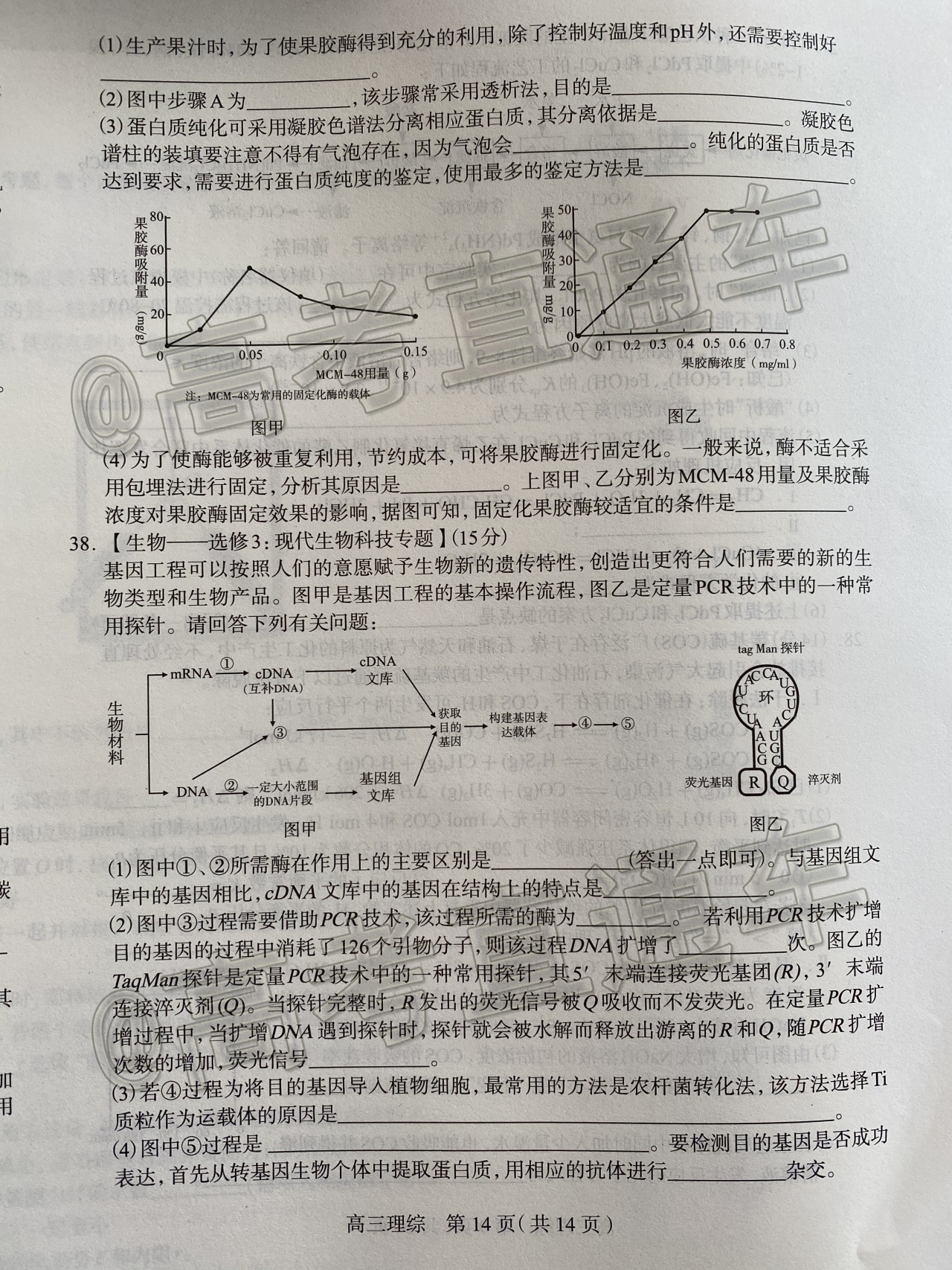 2020石家庄一模（石家庄高三5月阶段性训练​）理综试题及参考答案 第14页