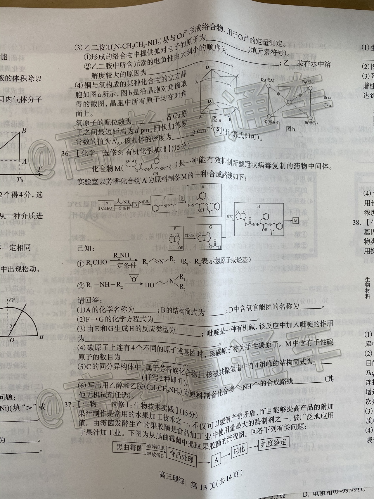 2020石家庄一模（石家庄高三5月阶段性训练​）理综试题及参考答案 第13页