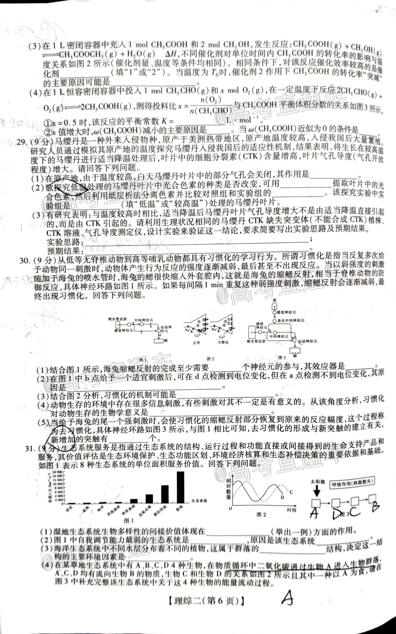 2020山西运城高三5月统考理综试题及参考答案 第6页