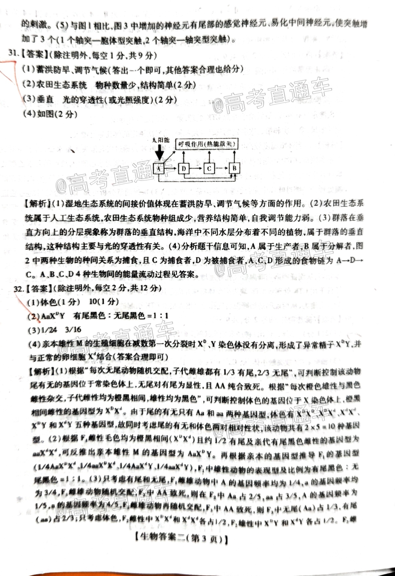 2020山西运城高三5月统考理综试题及参考答案 第18页
