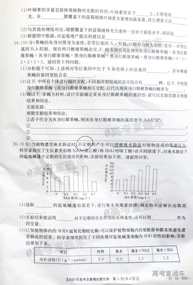 P00610-1140359j2S.jpg