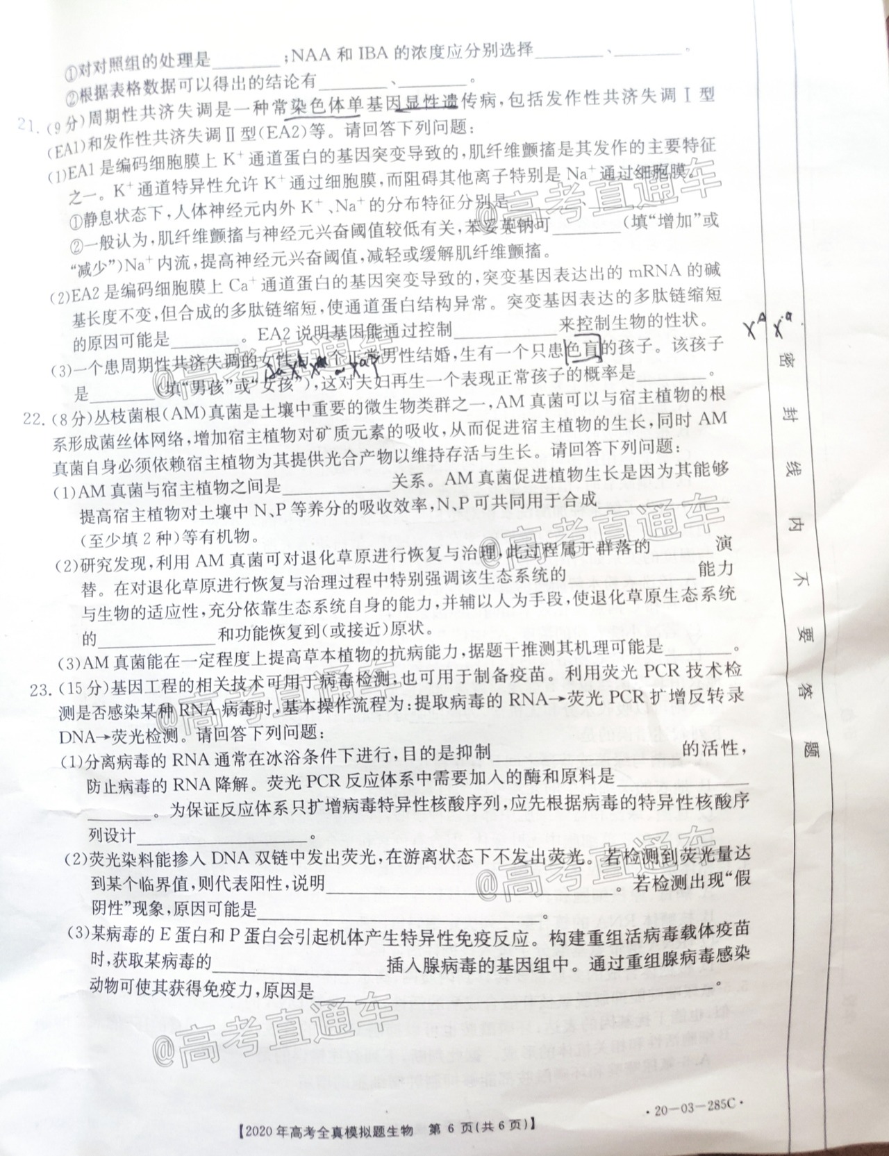 P00610-114040IM7a.jpg