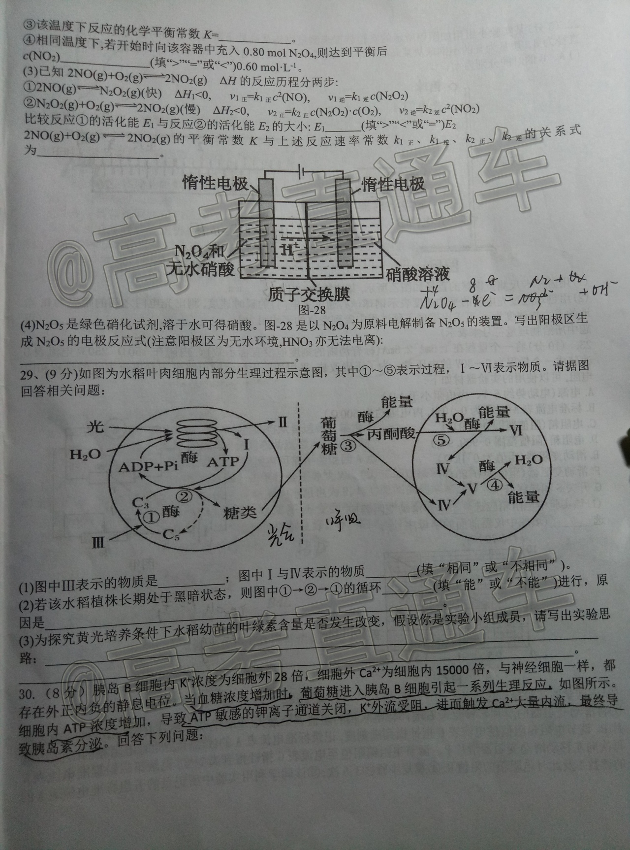 2020江西吉安五校协作体第二次联考理综试题及参考答案 第8页