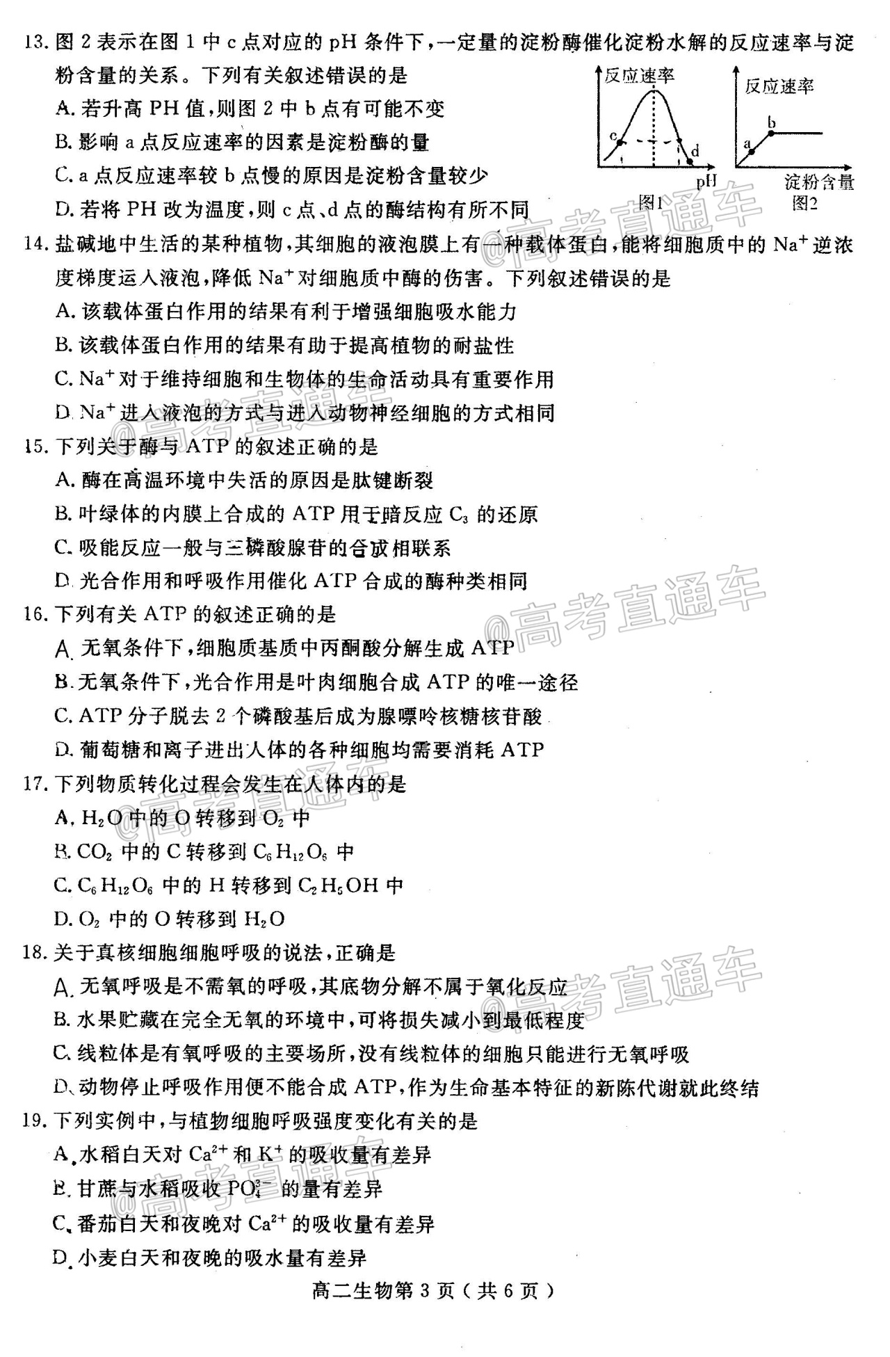 2020乐山高二下期末考试生物试题及参考答案  第3页