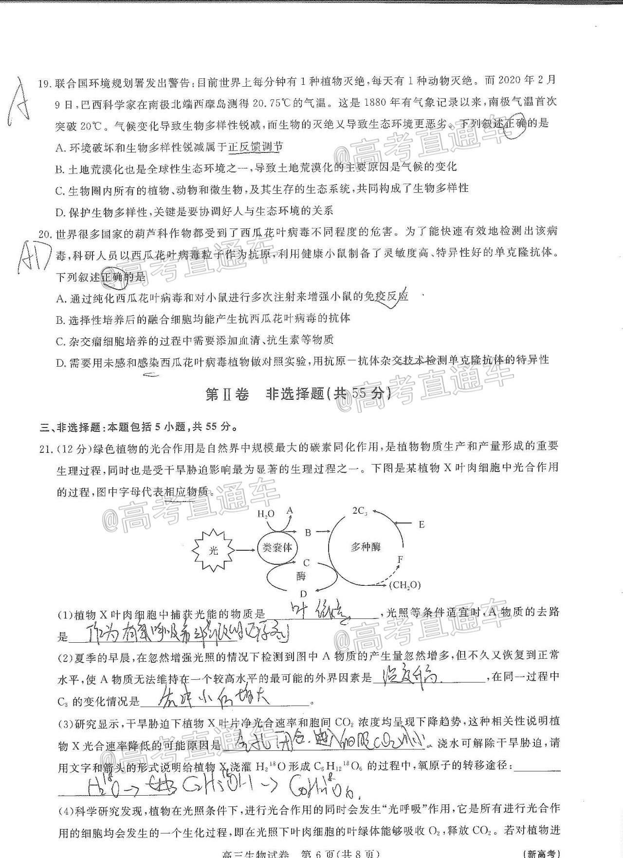 2021全品文教高三8月新起点考试生物试题及参考答案 第6页
