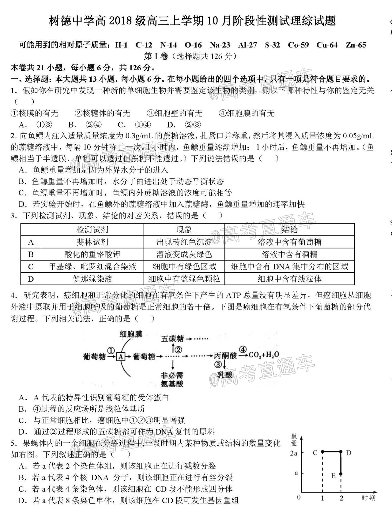 四川省树德中学2021届高三上学期10月阶段性测 理科综合试题 PDF版含答案_页面_1.jpg
