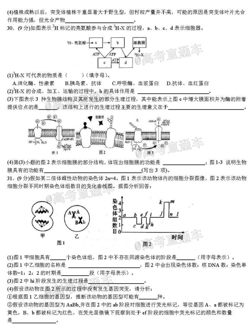 四川省树德中学2021届高三上学期10月阶段性测 理科综合试题 PDF版含答案_页面_5.jpg