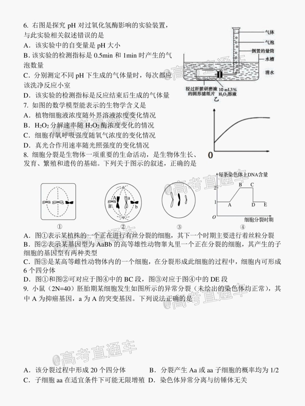 2021江苏省扬州中学高三10月月考生物试题及参考答案 第2页
