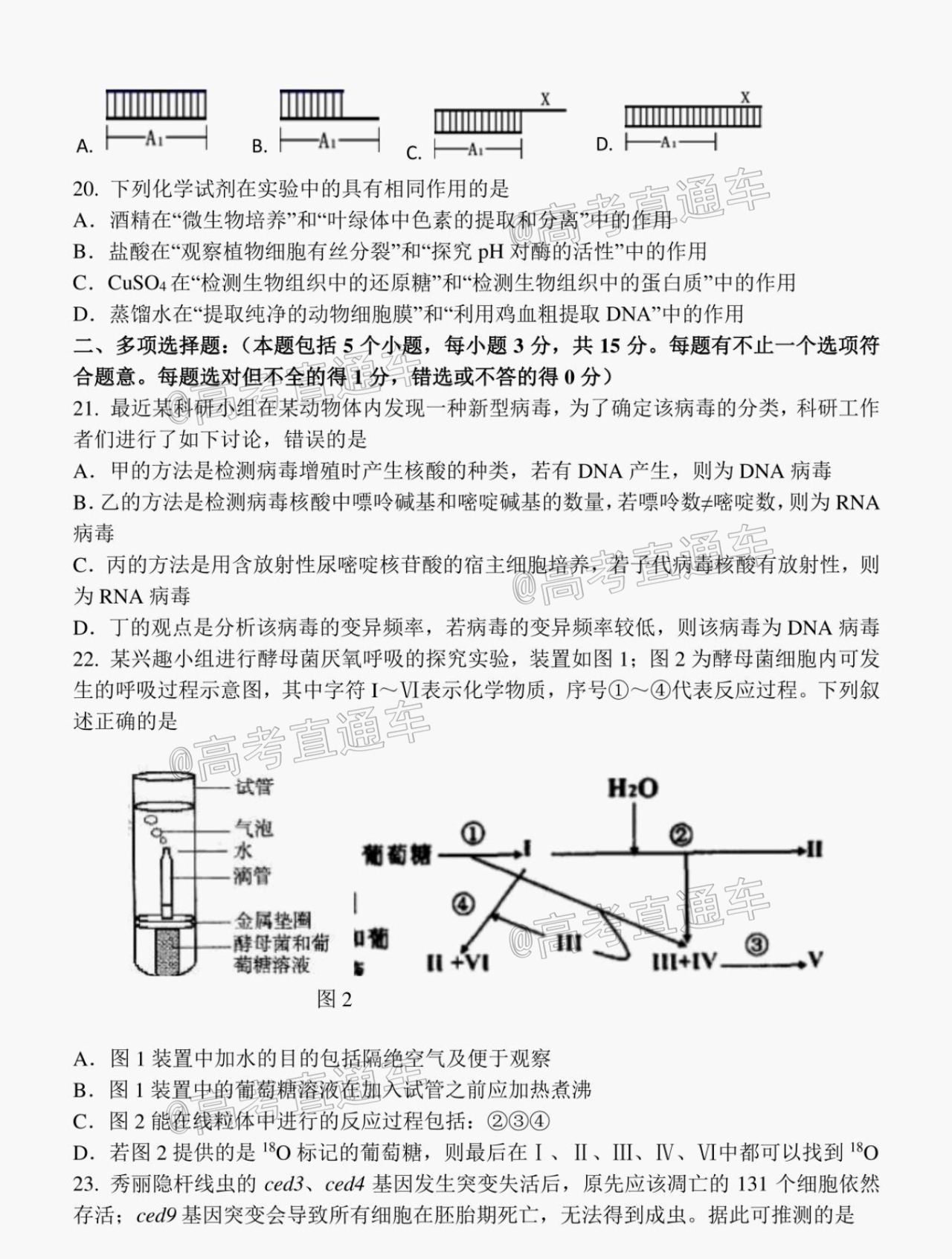 2021江苏省扬州中学高三10月月考生物试题及参考答案 第5页