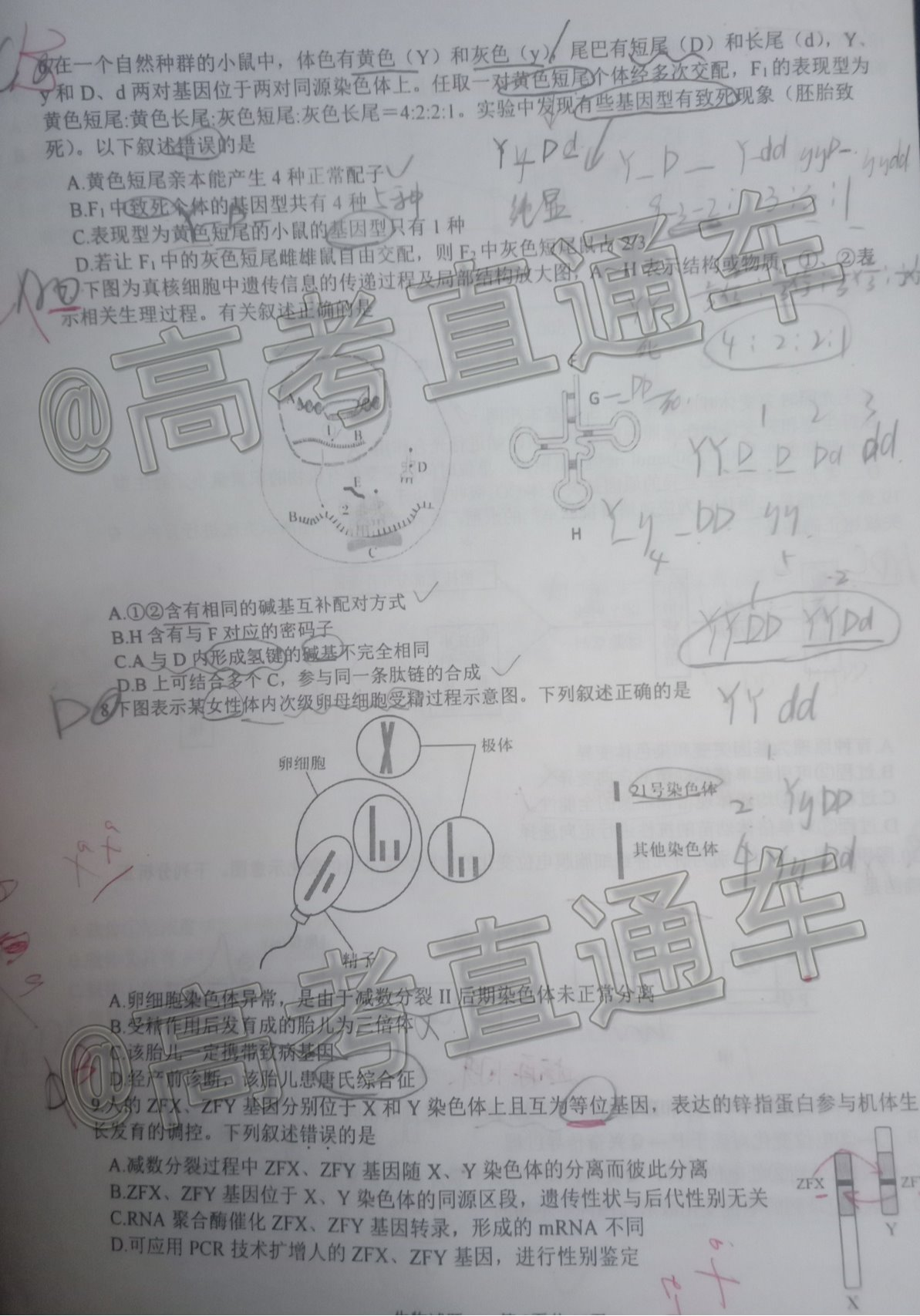 scrawl.png