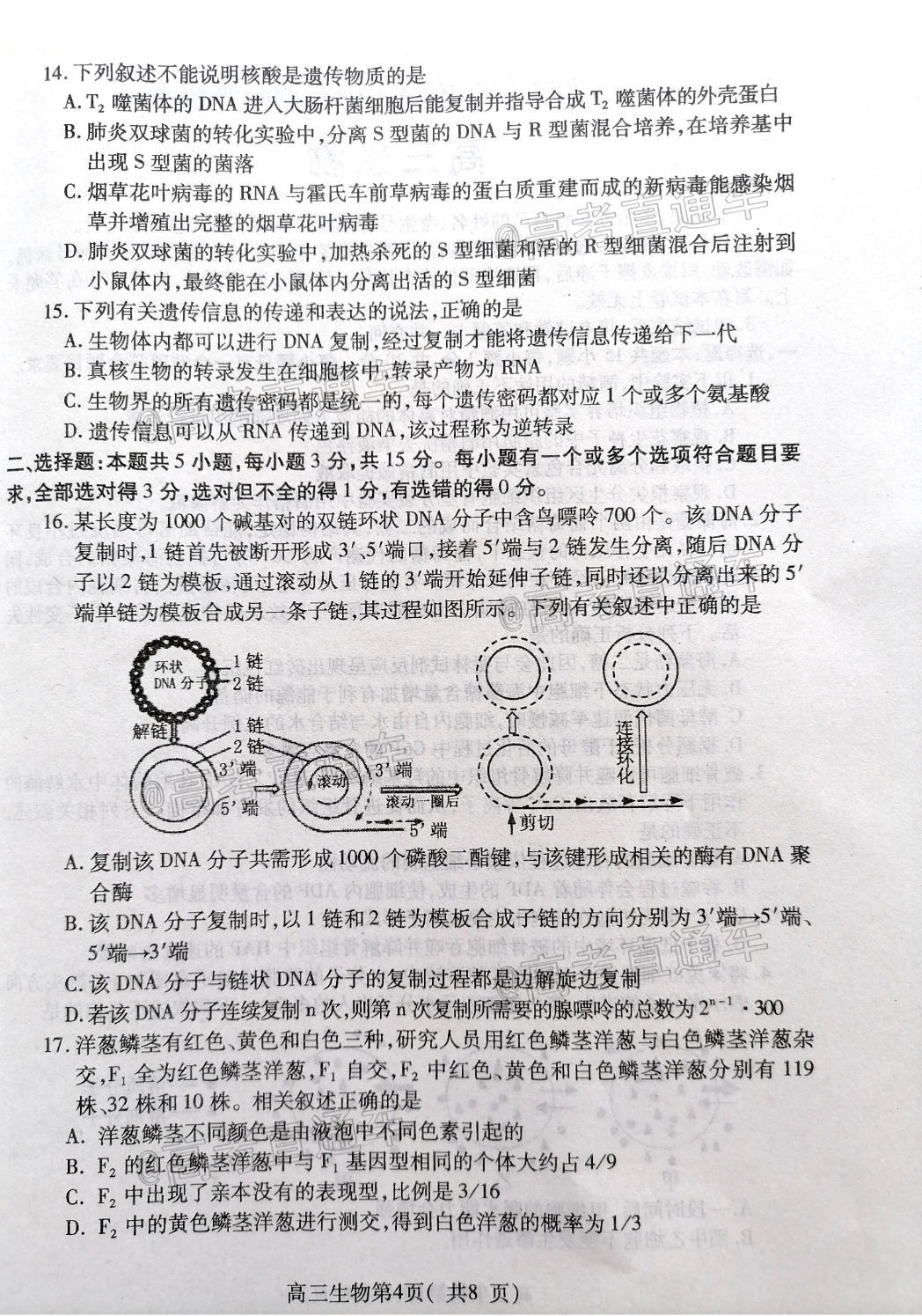 img7Plm.jpeg