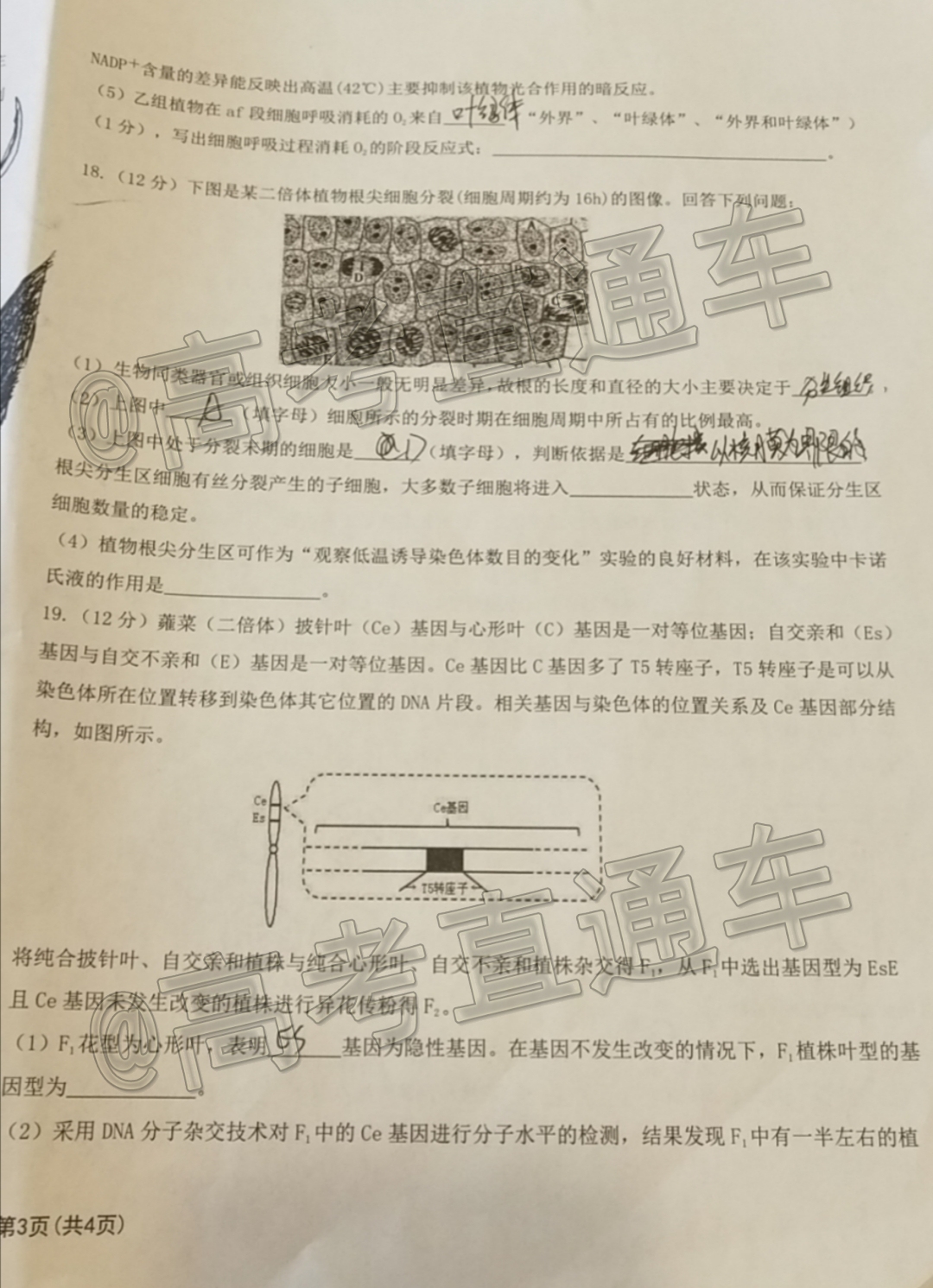 2021重庆七校联盟高三联考生物试题及参考答案 第5页