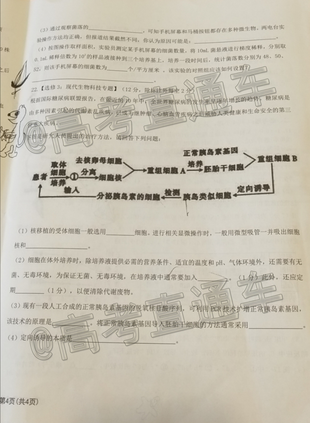 2021重庆七校联盟高三联考生物试题及参考答案 第7页