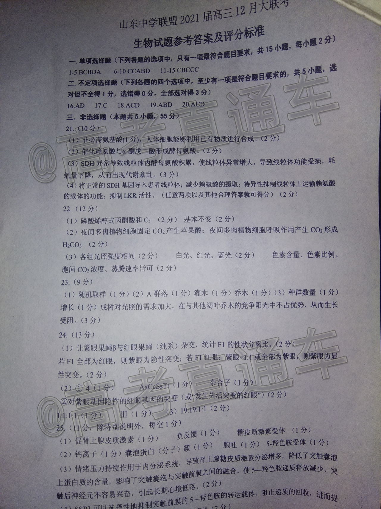 IMG_20201225_183925Psk3.jpg