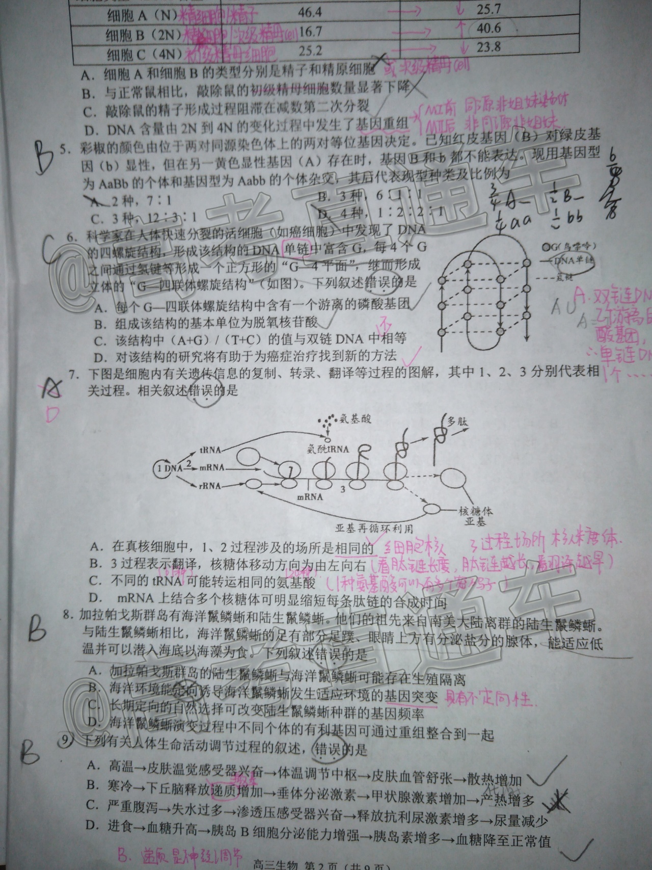 2021扬州高三适应性练习生物试题及参考答案 第2页