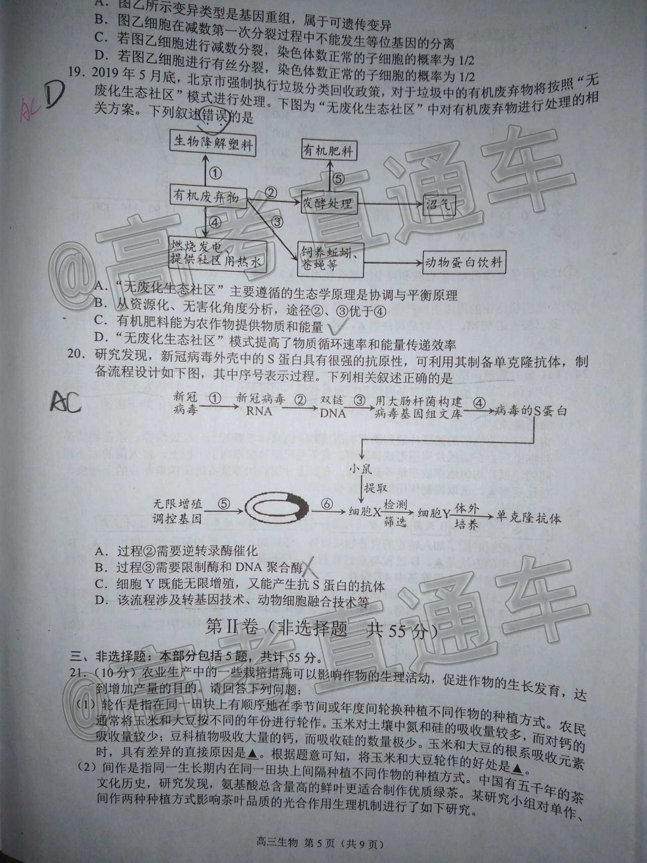 2021扬州高三适应性练习生物试题及参考答案 第5页